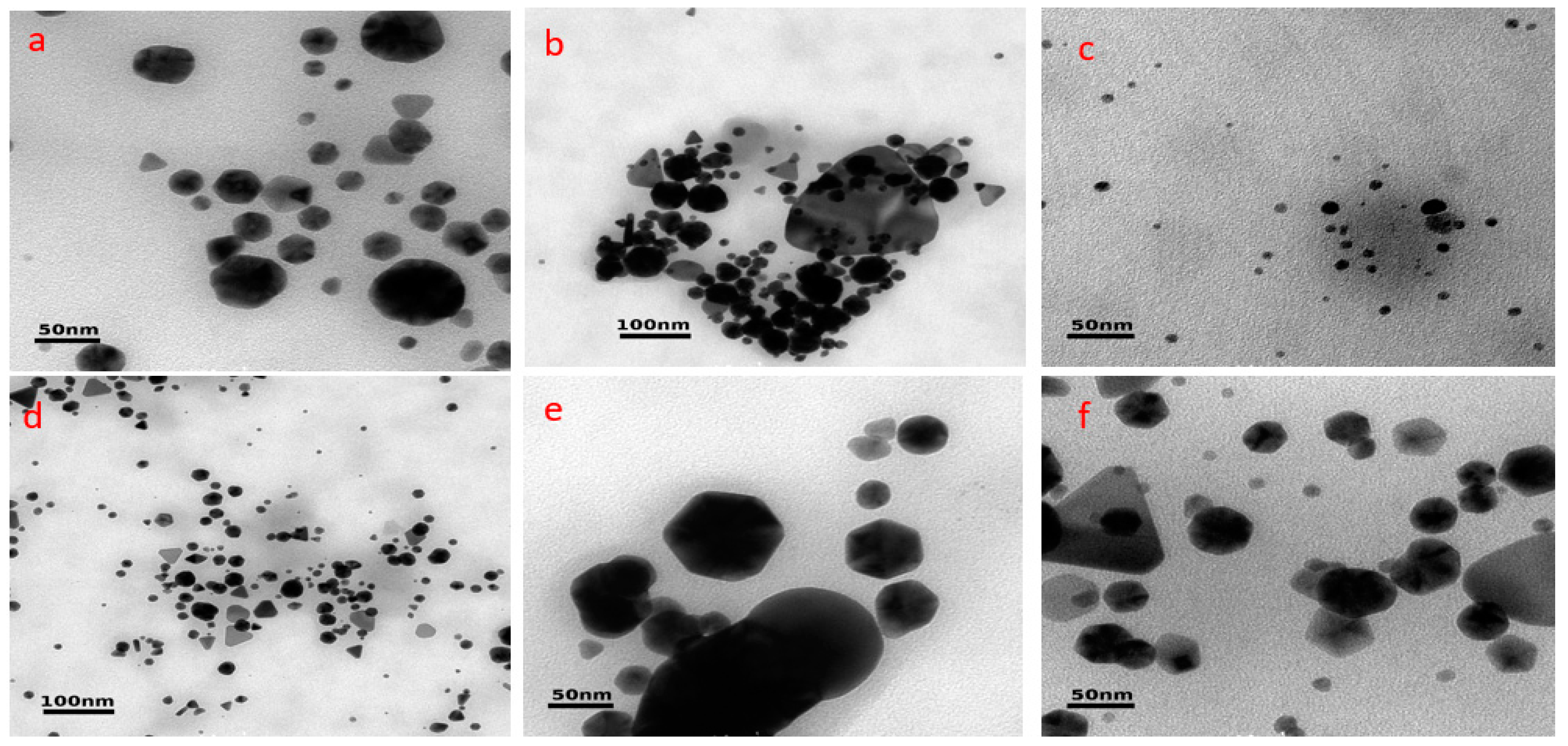 Antioxidants 13 00822 g005