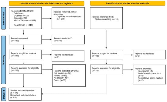 Antioxidants 13 00823 g001