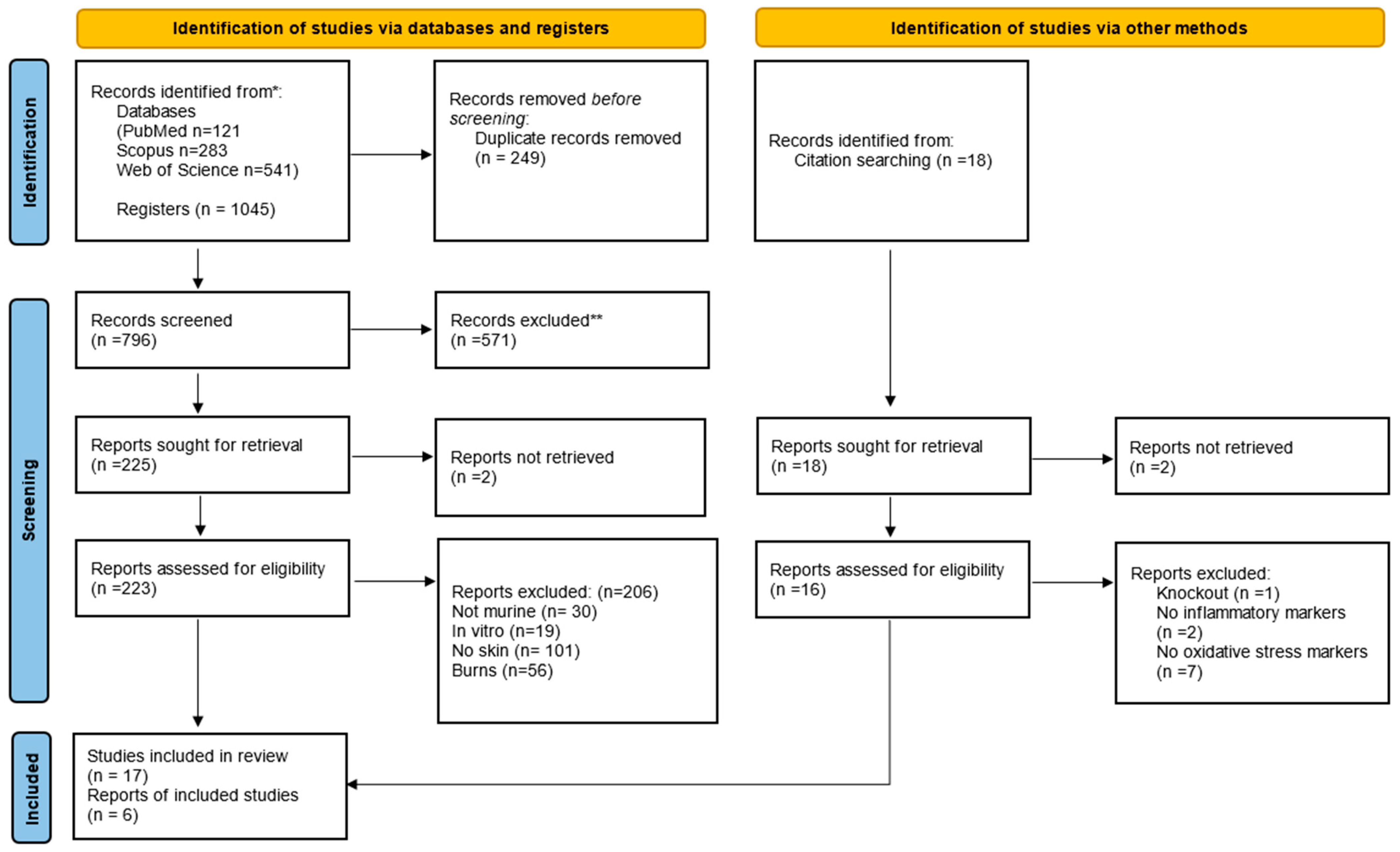 Antioxidants 13 00823 g001