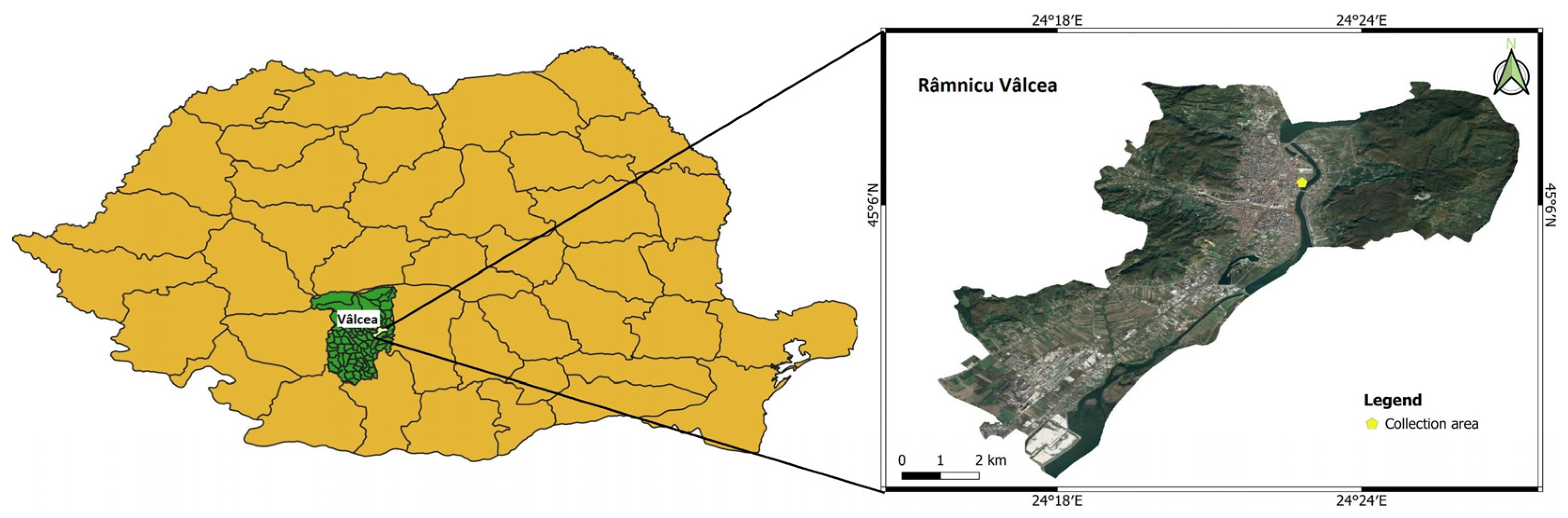 Antioxidants 13 00824 g001