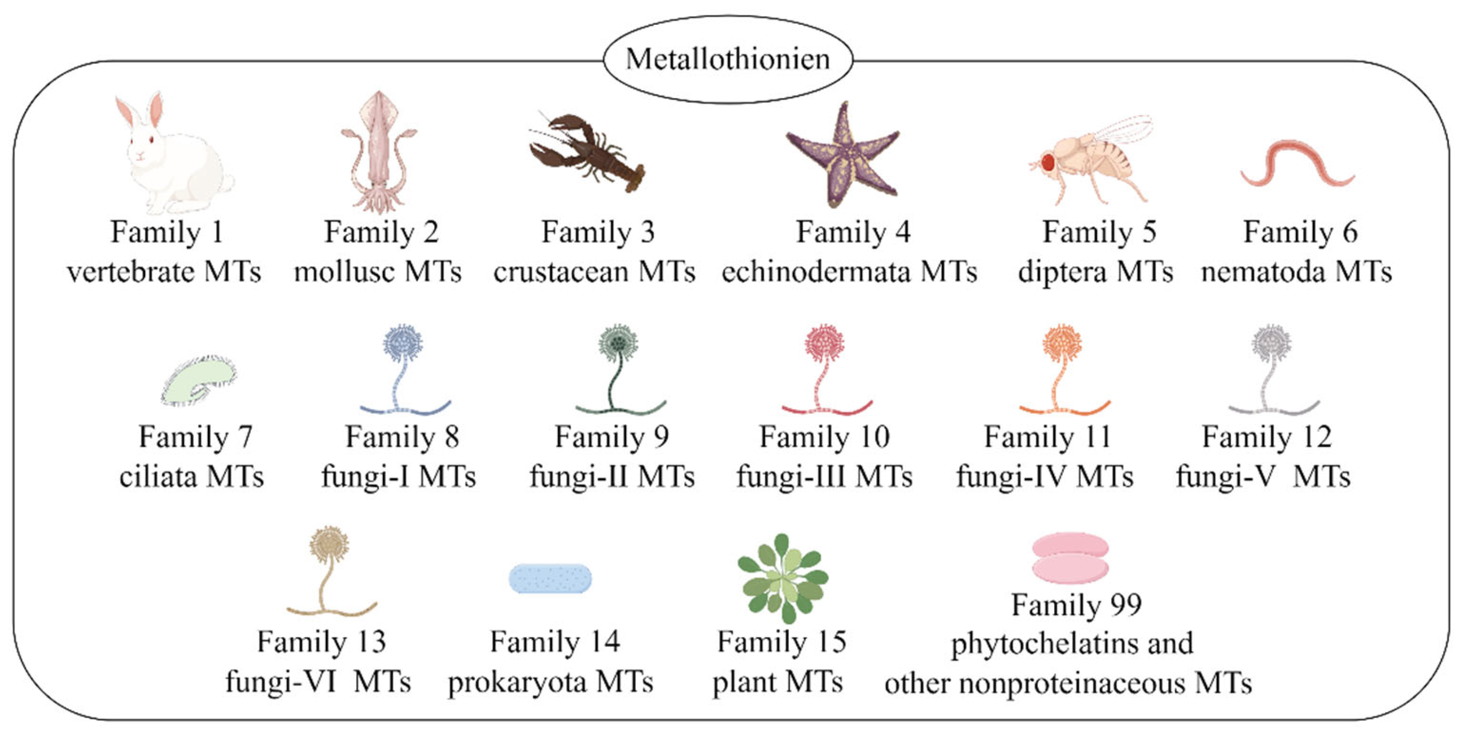 Antioxidants 13 00825 g001