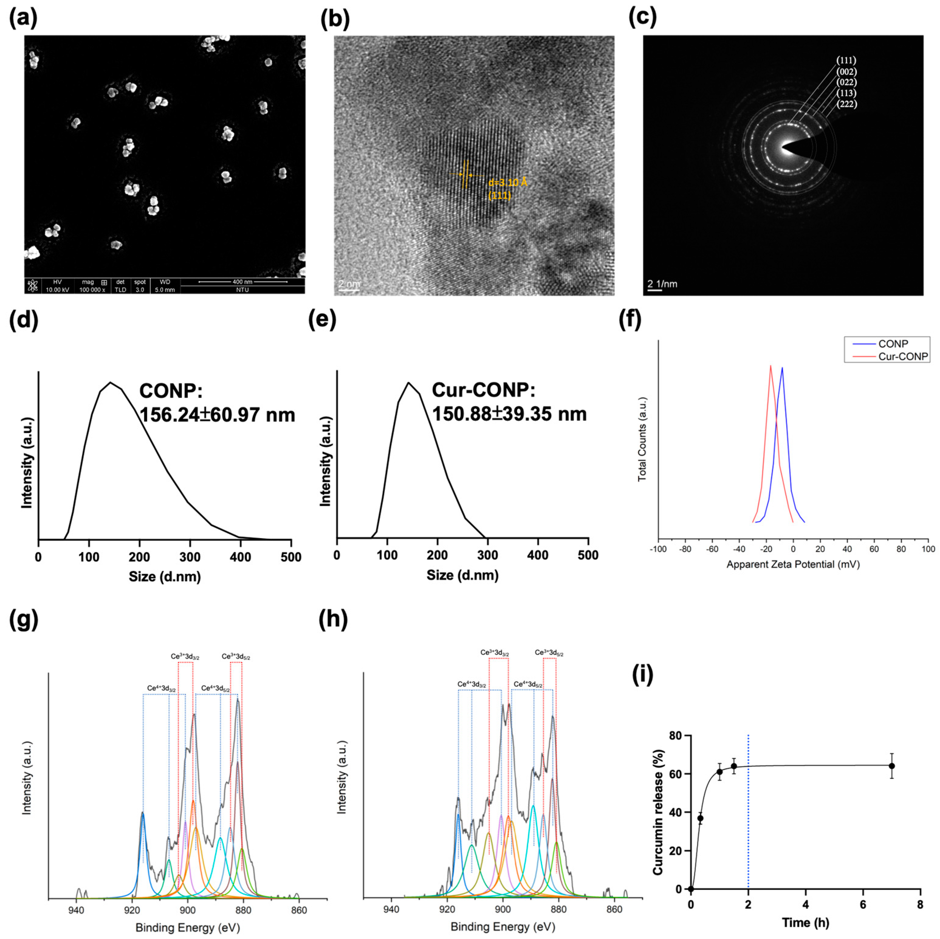 Antioxidants 13 00826 g003