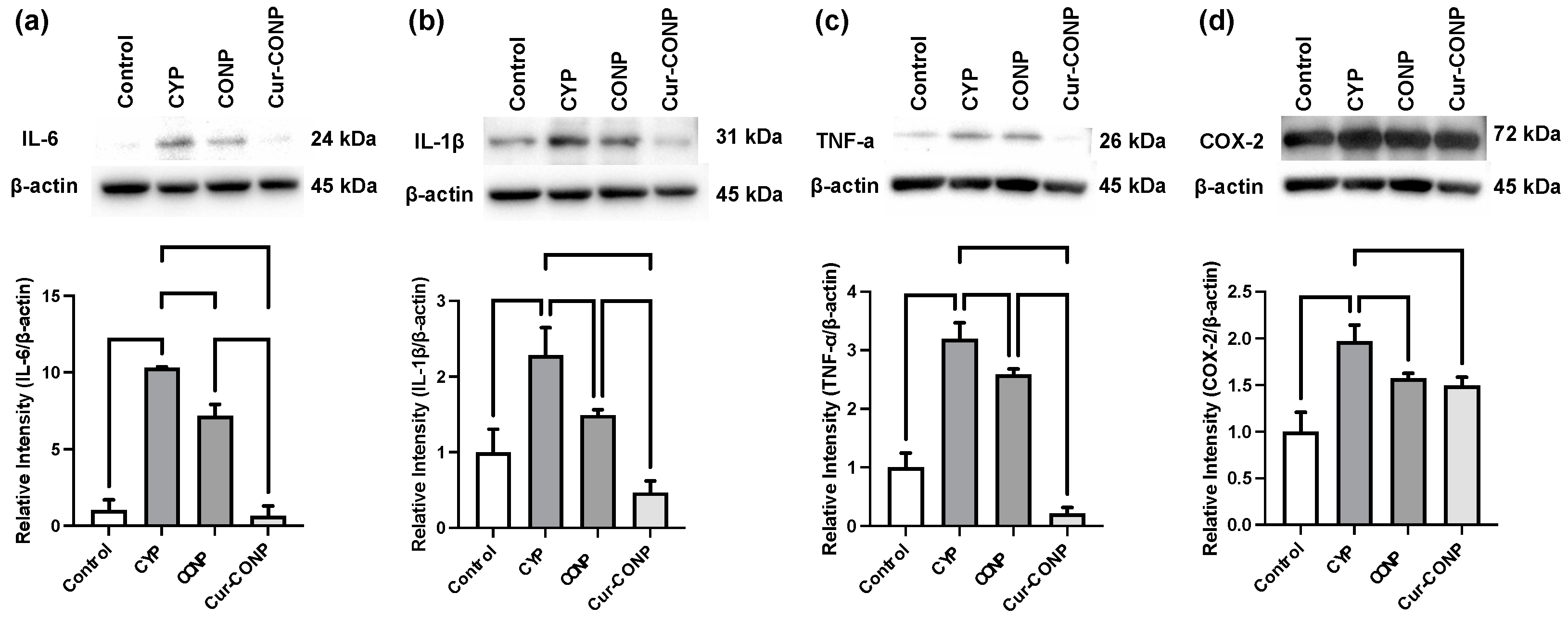 Antioxidants 13 00826 g007