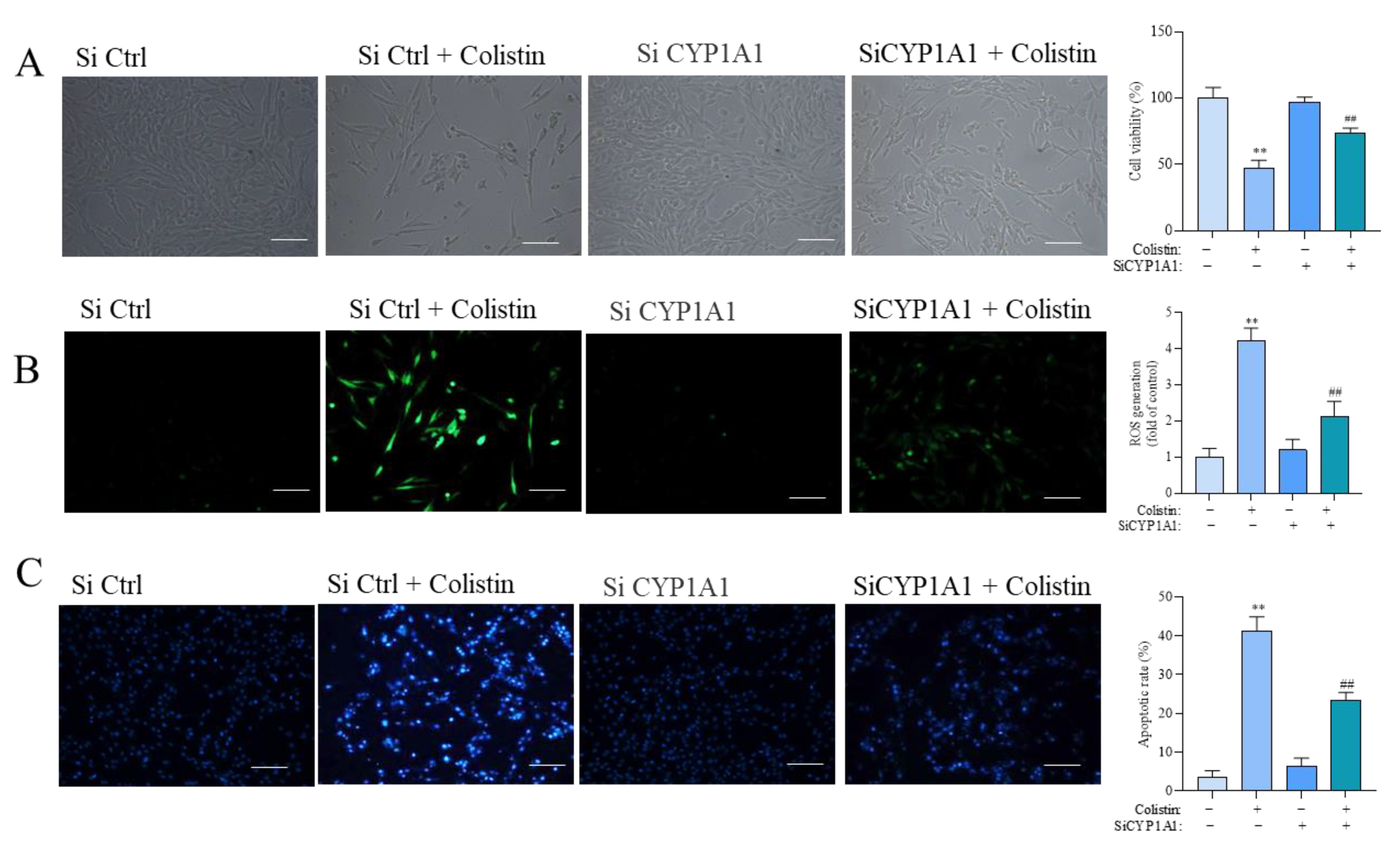 Antioxidants 13 00827 g008