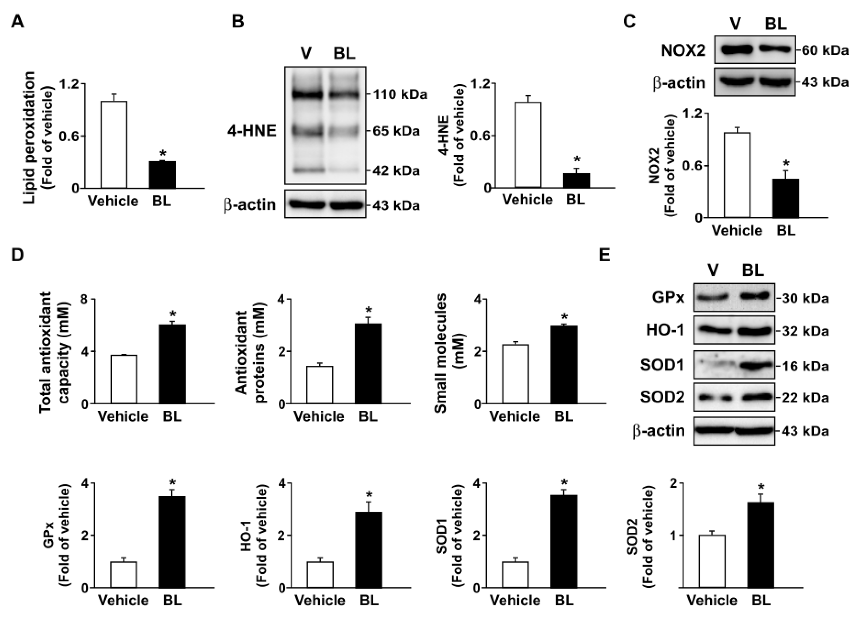 Antioxidants 13 00830 i001