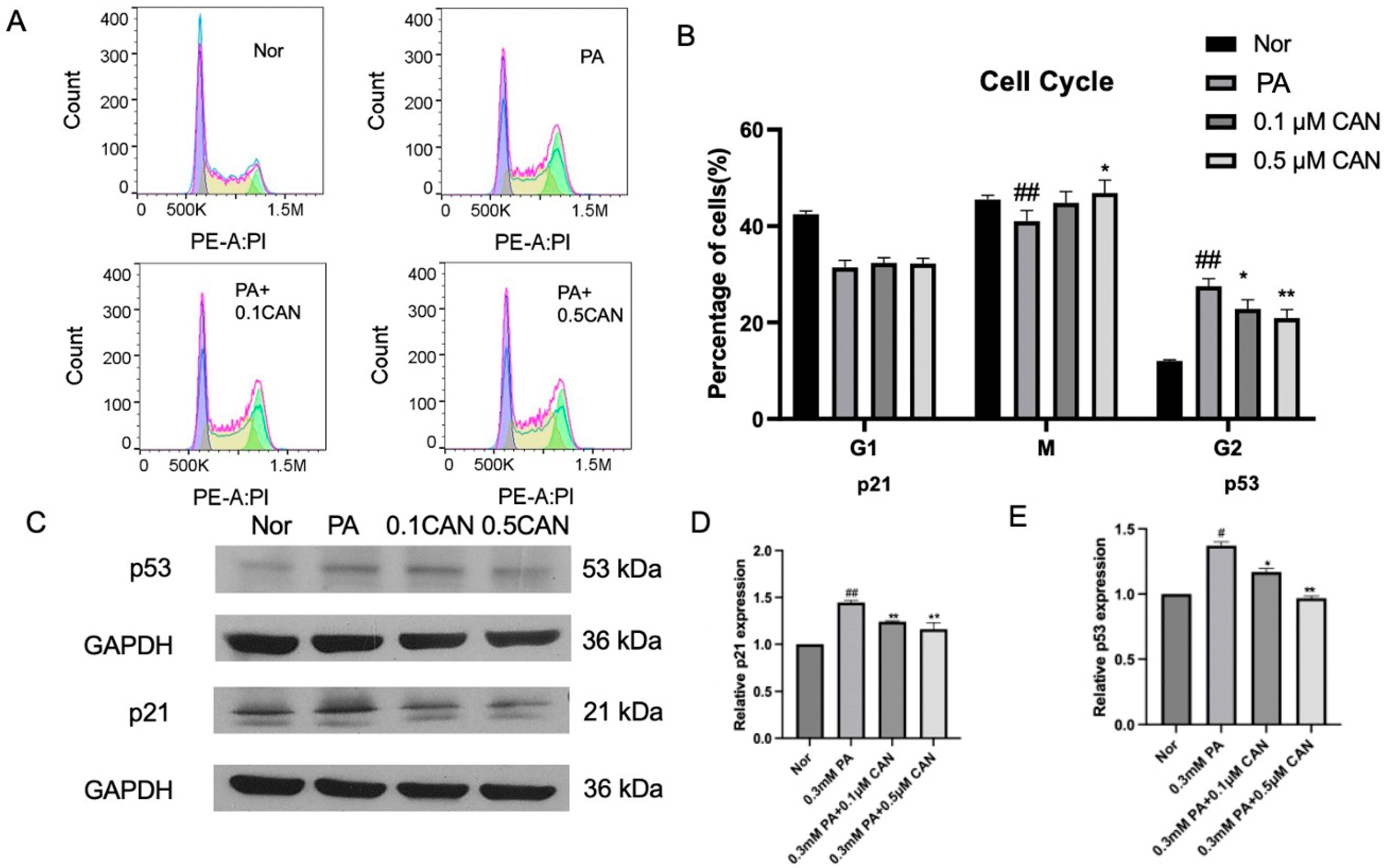 Antioxidants 13 00831 g001