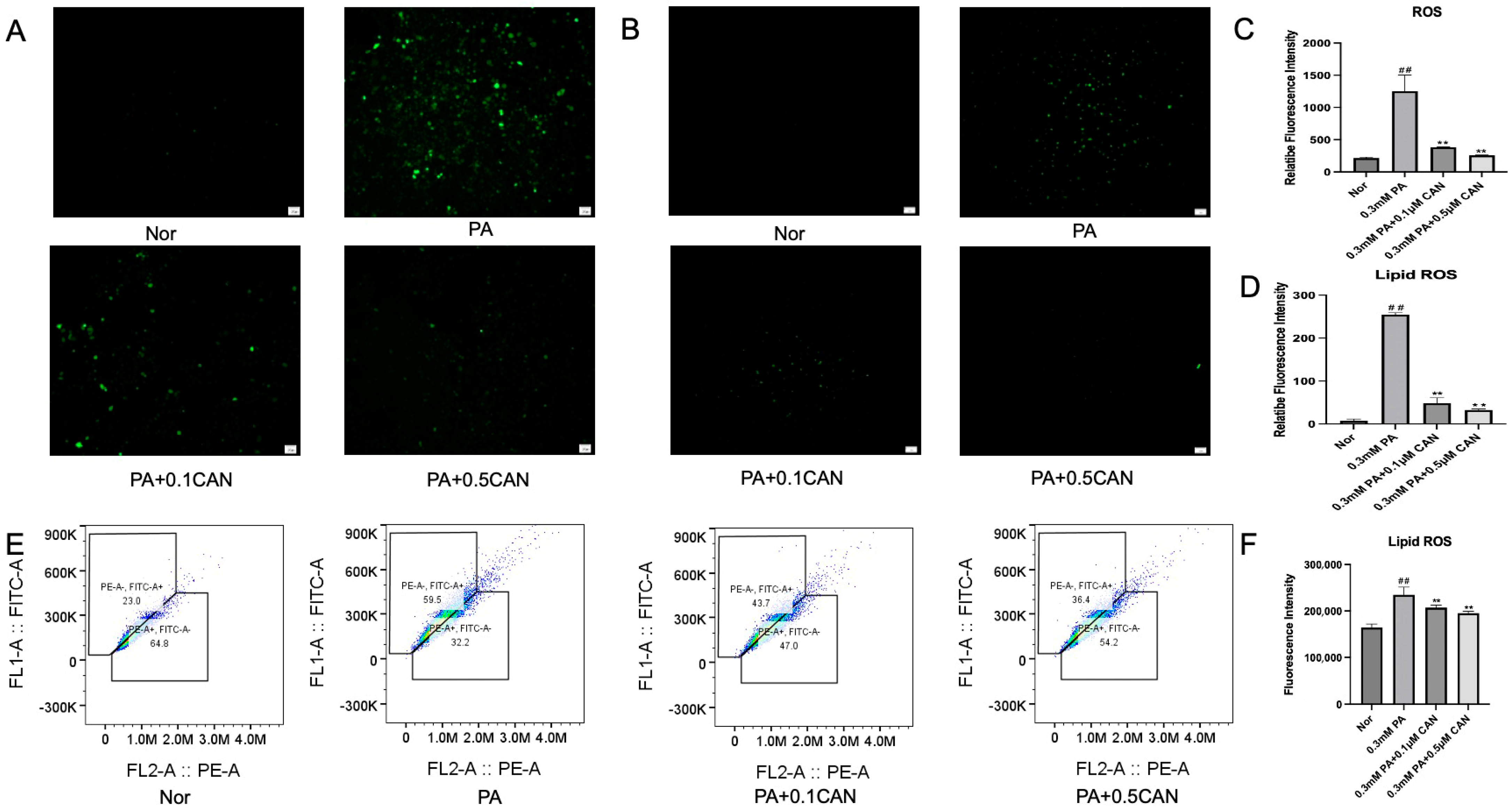 Antioxidants 13 00831 g002