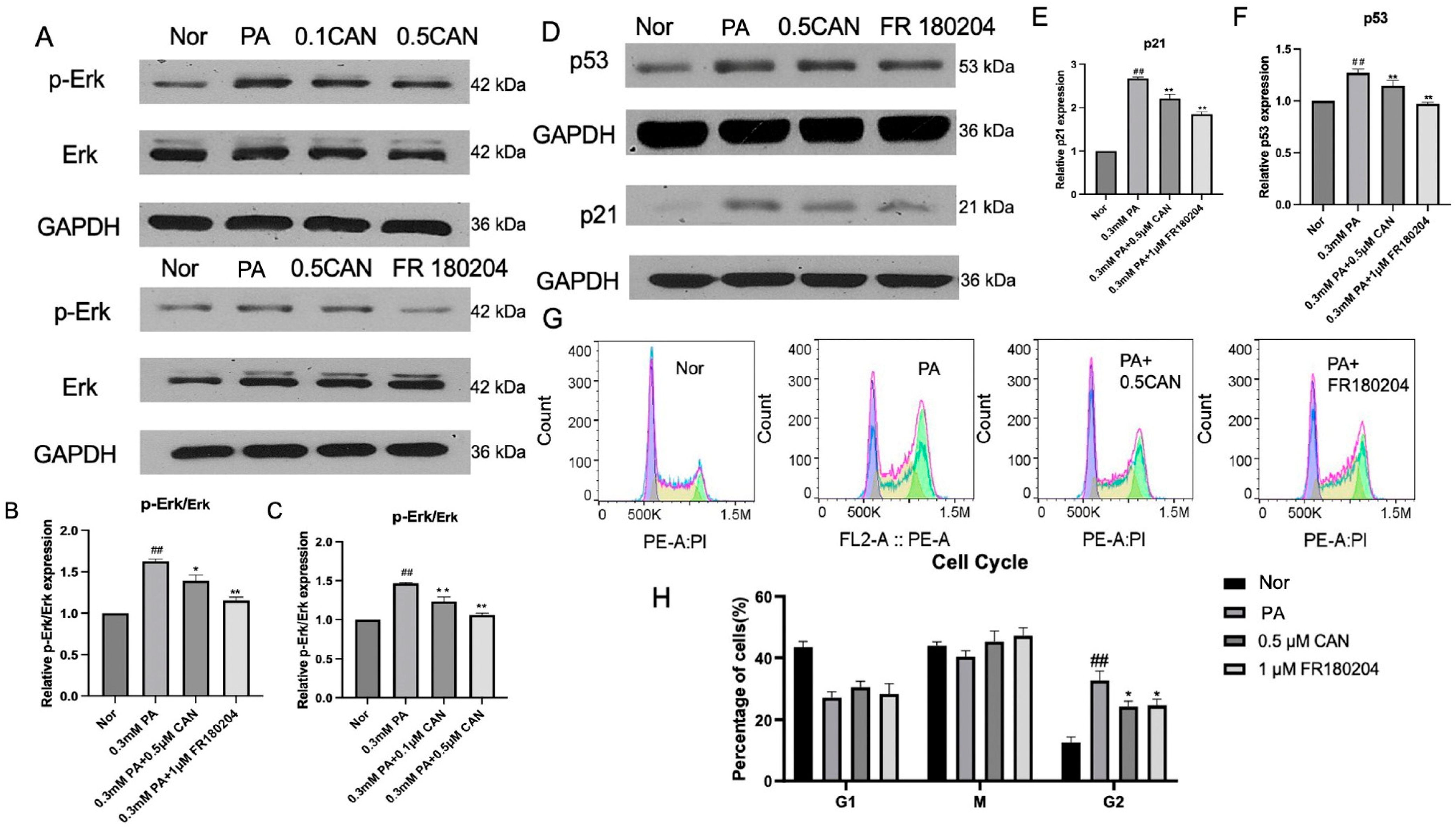 Antioxidants 13 00831 g003