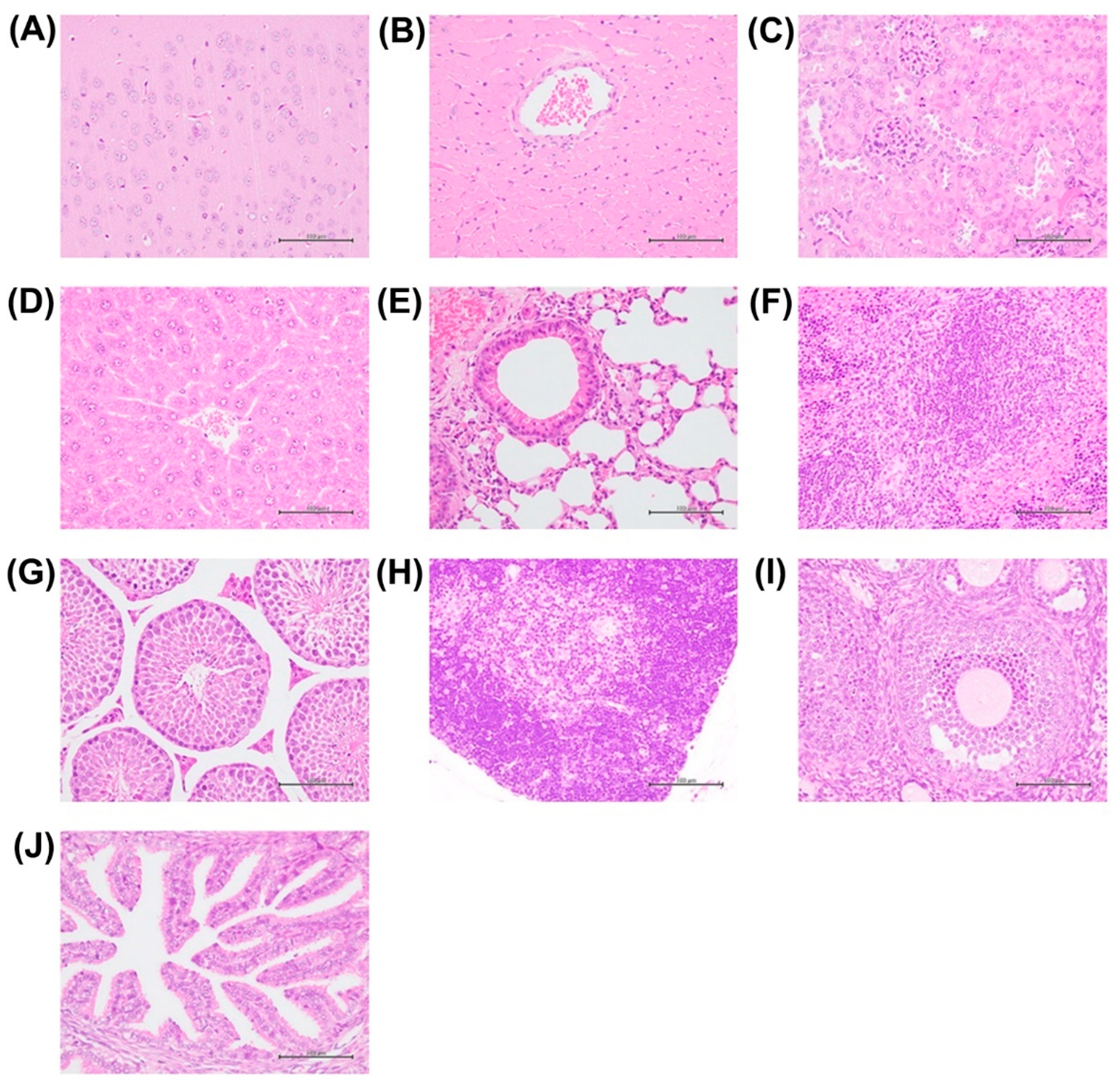 Antioxidants 13 00832 g002