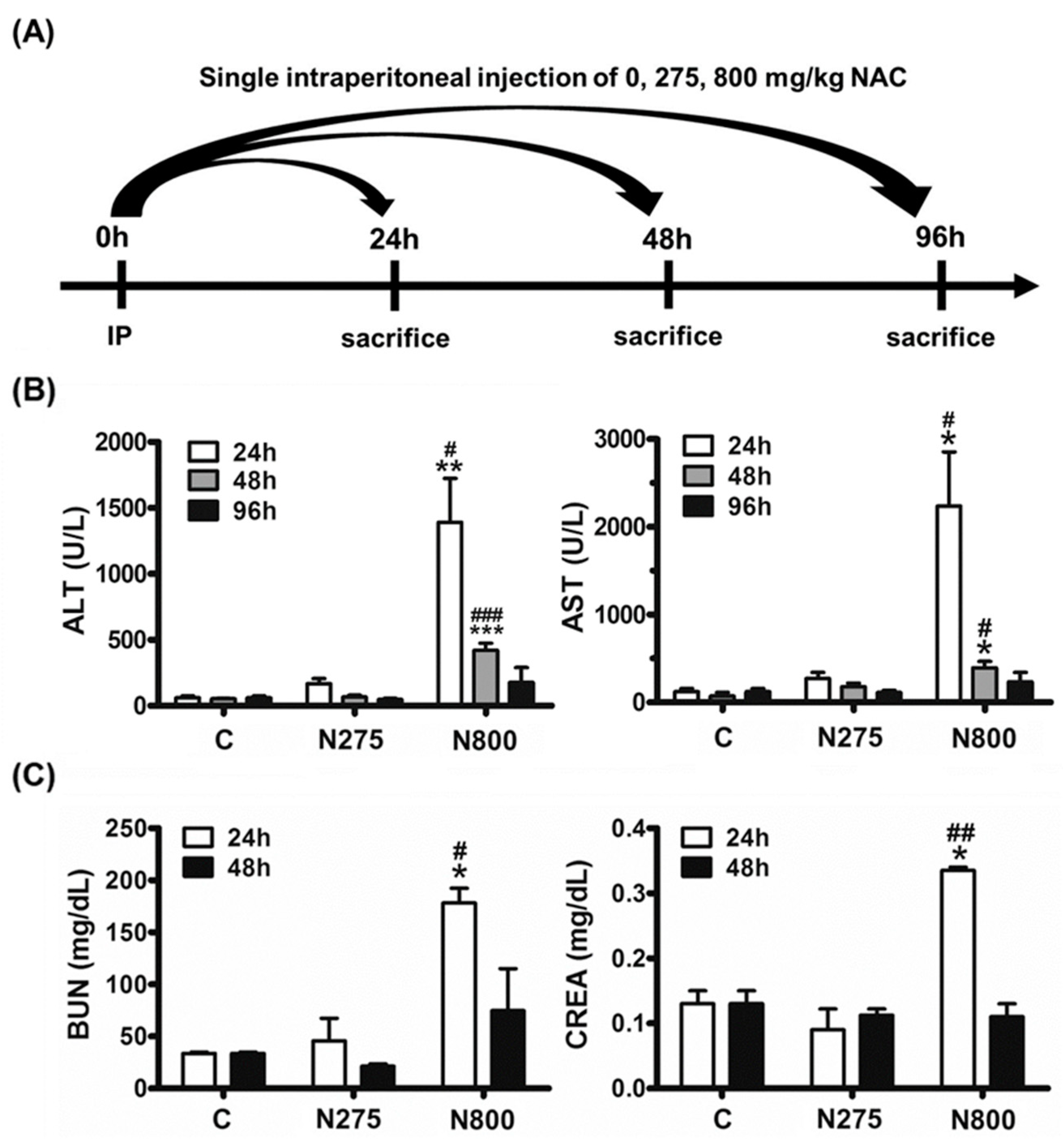 Antioxidants 13 00832 g003