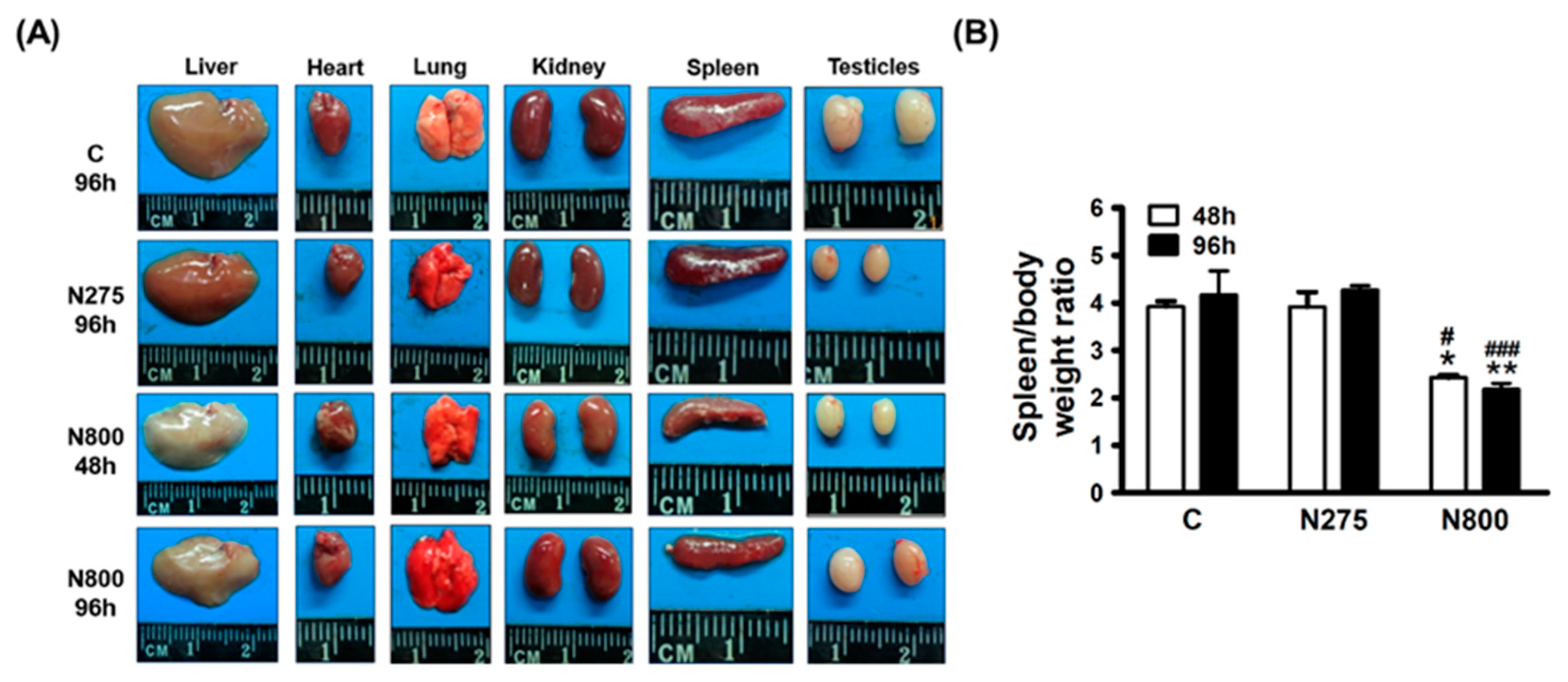 Antioxidants 13 00832 g004