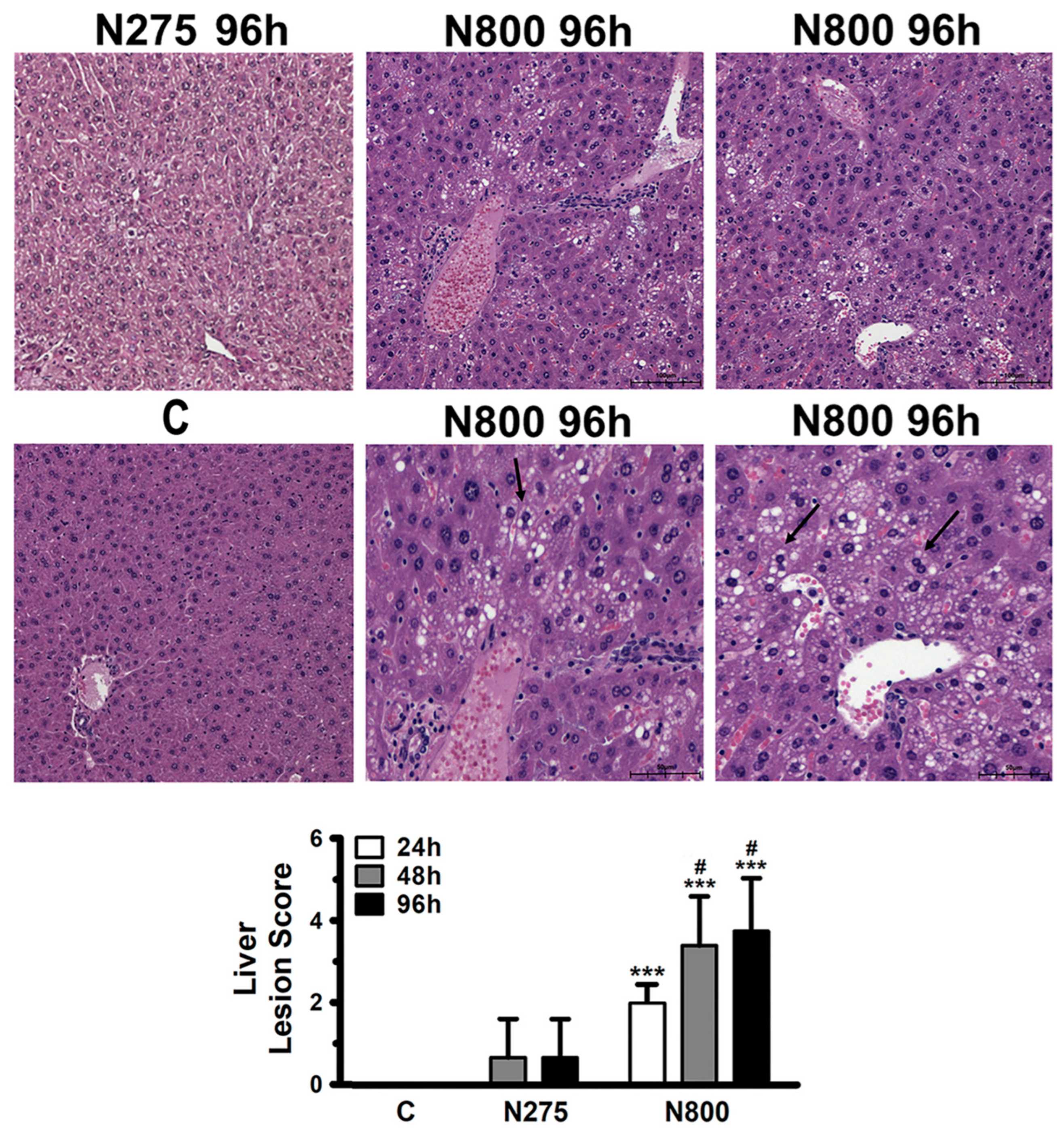 Antioxidants 13 00832 g005