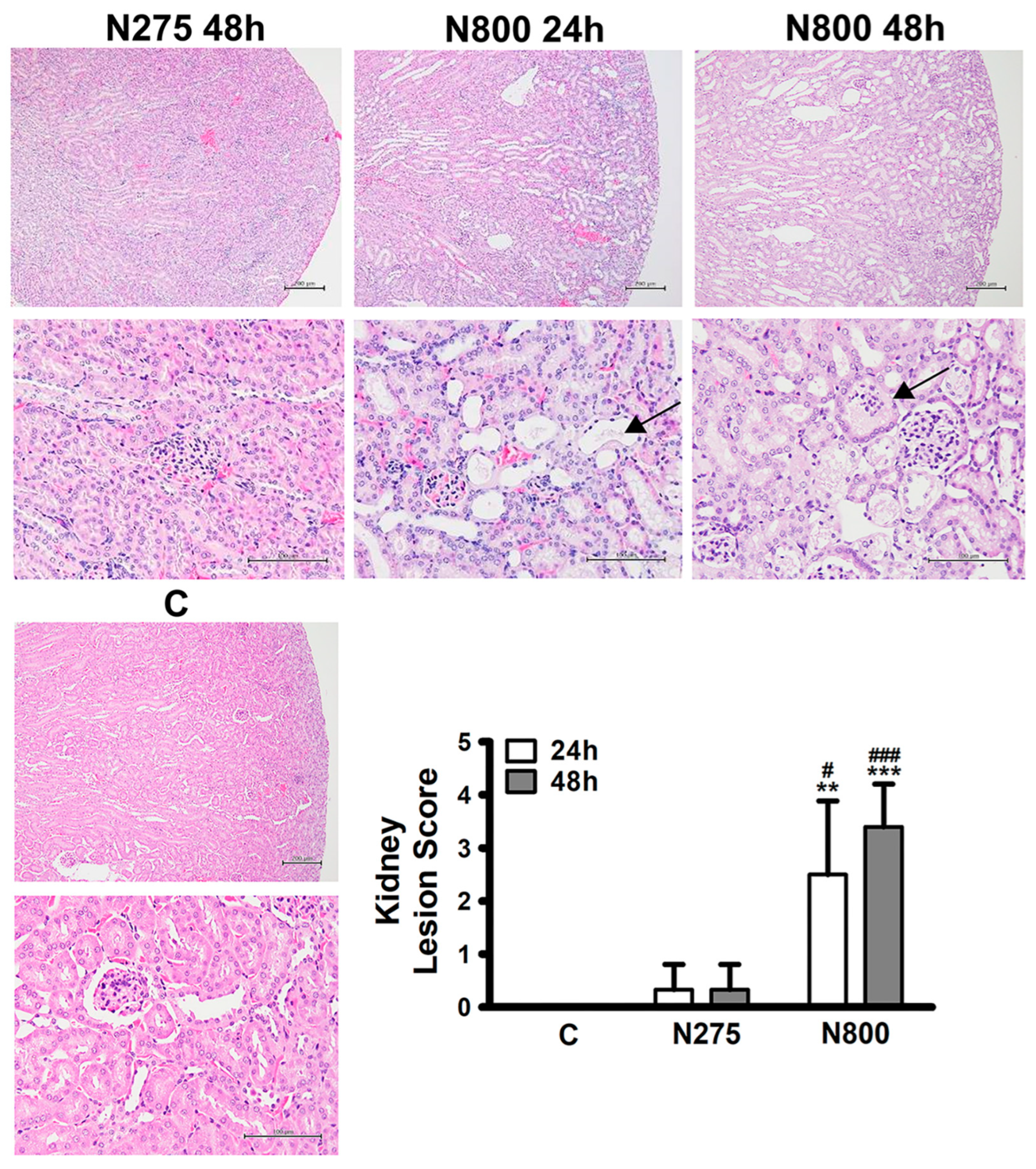 Antioxidants 13 00832 g006
