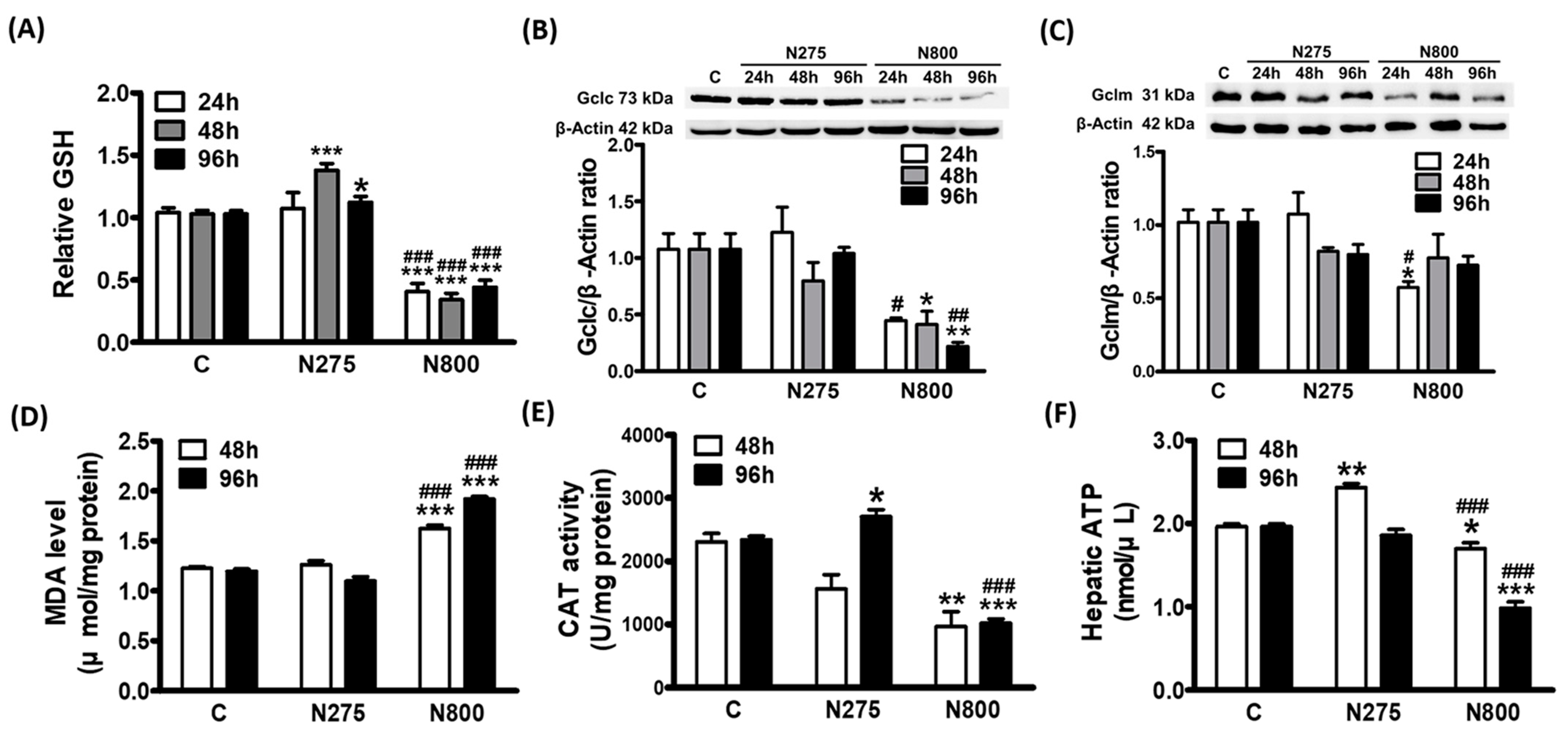 Antioxidants 13 00832 g009