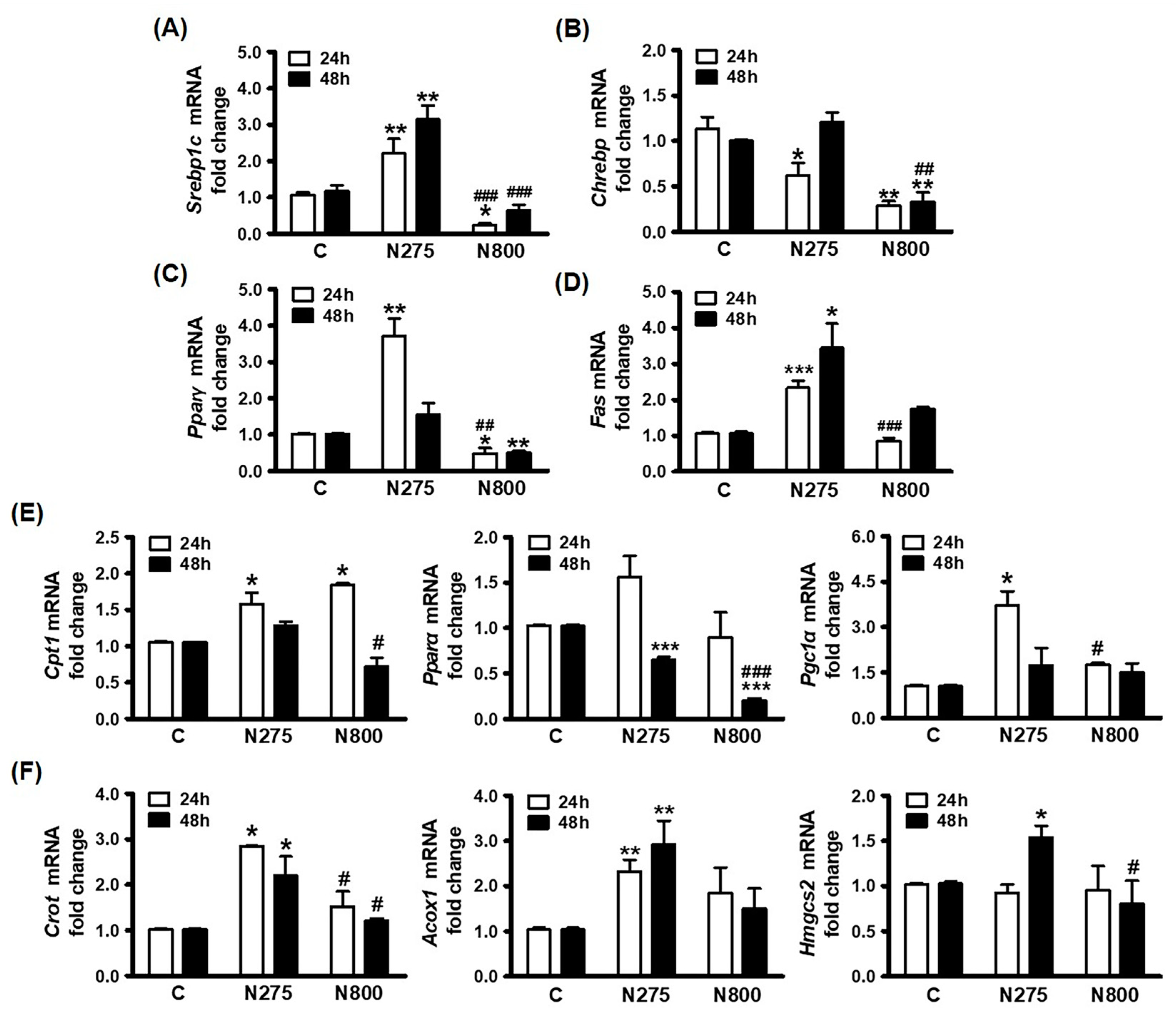Antioxidants 13 00832 g010