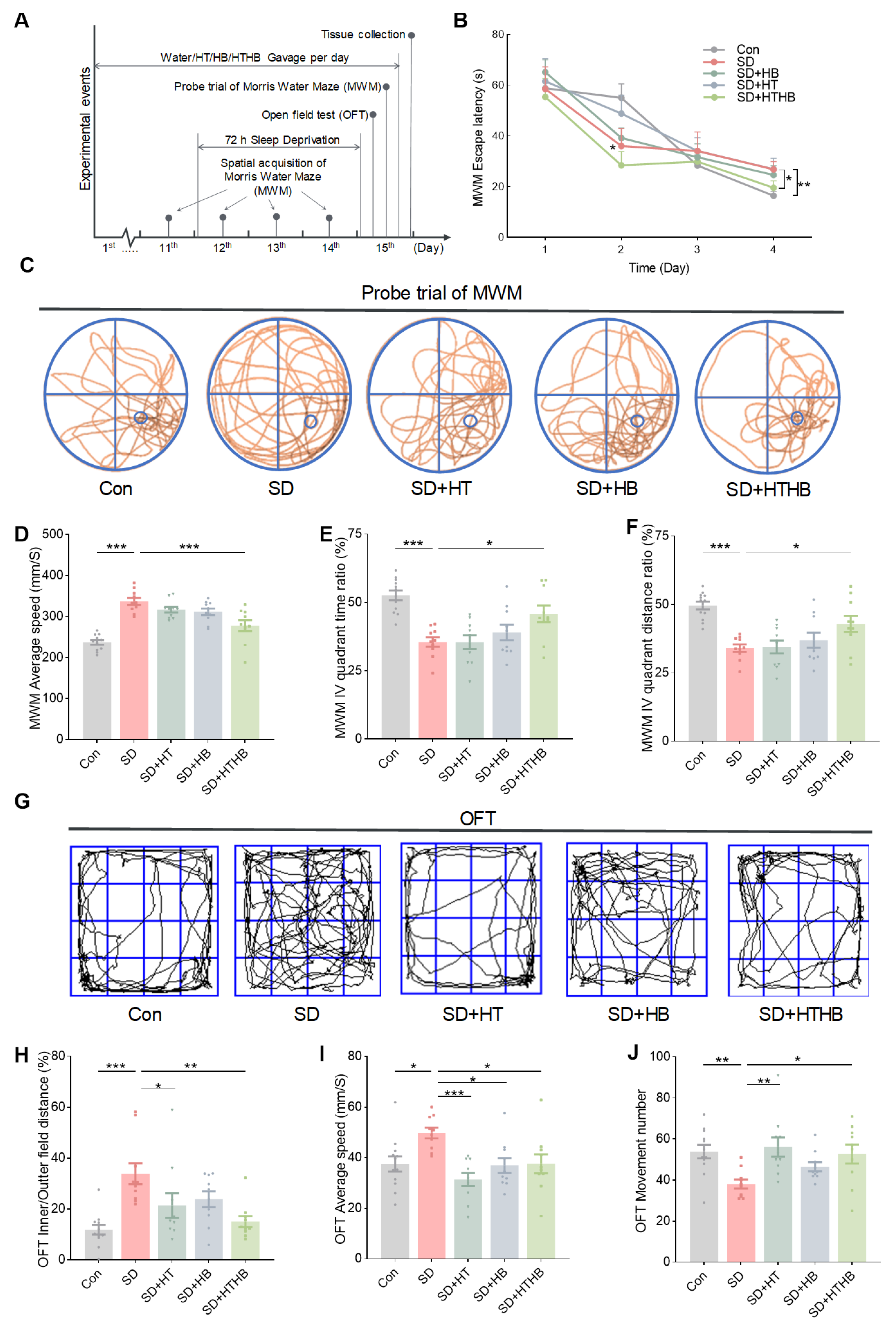 Antioxidants 13 00833 g001