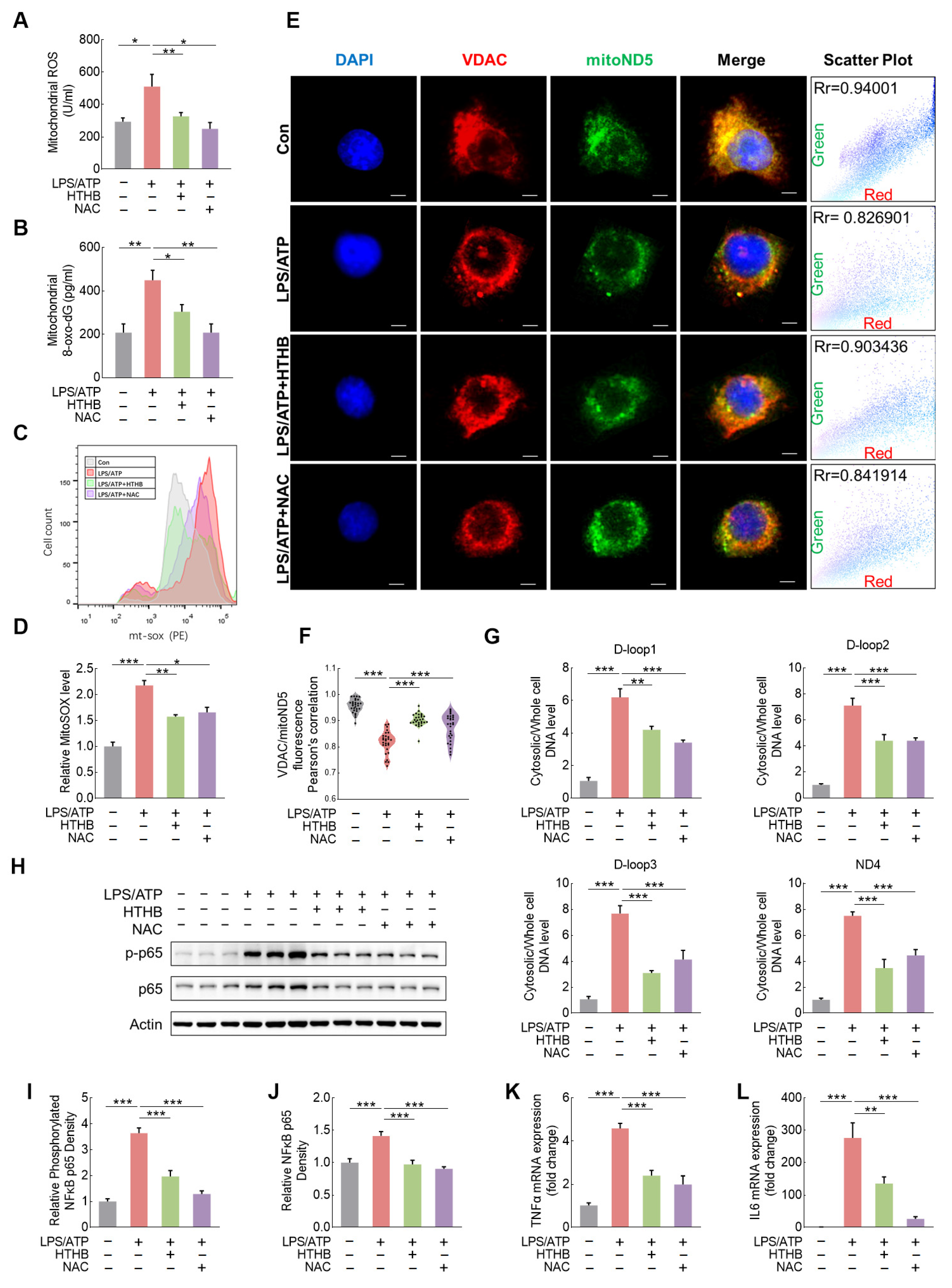 Antioxidants 13 00833 g005