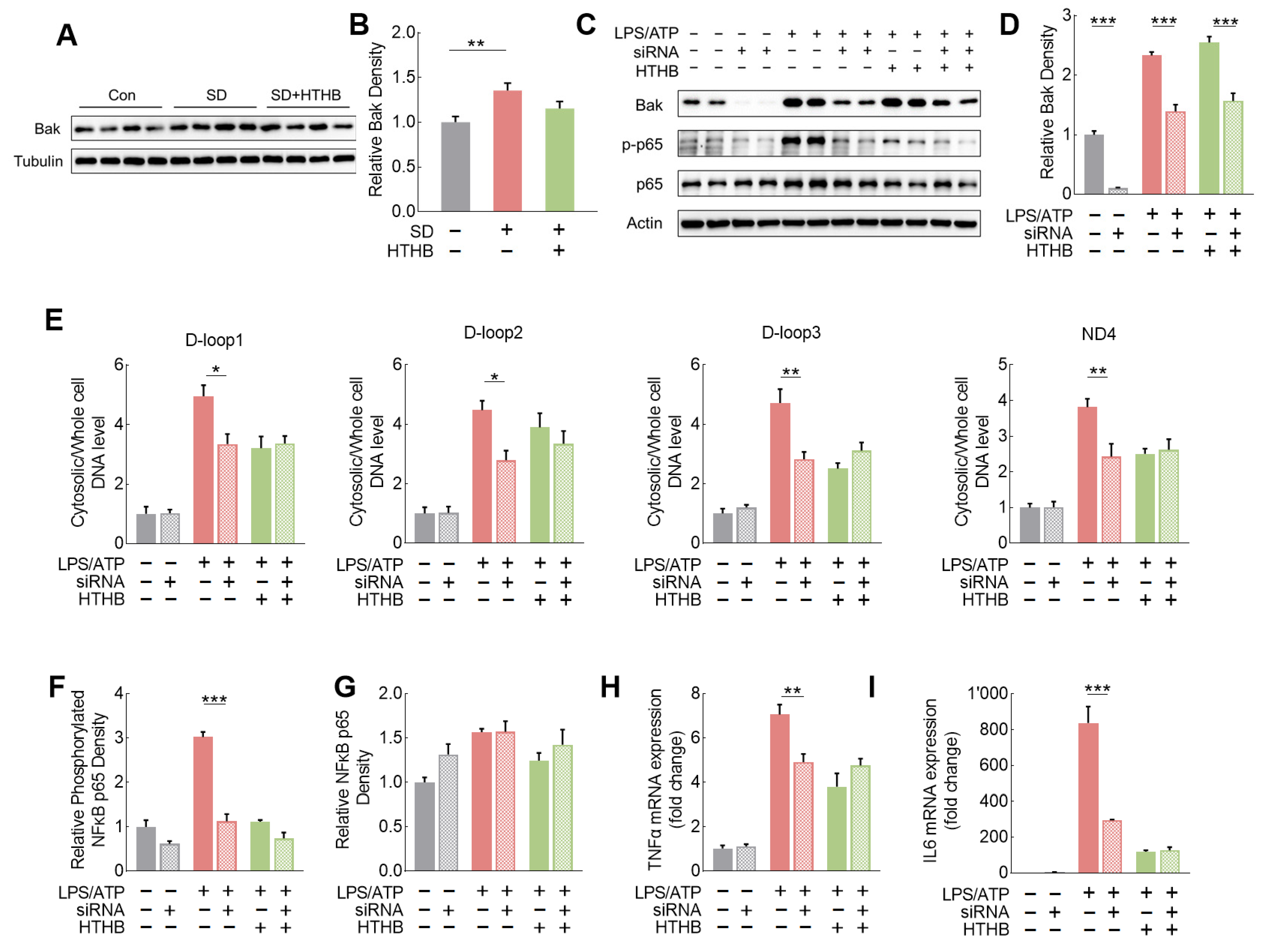 Antioxidants 13 00833 g006