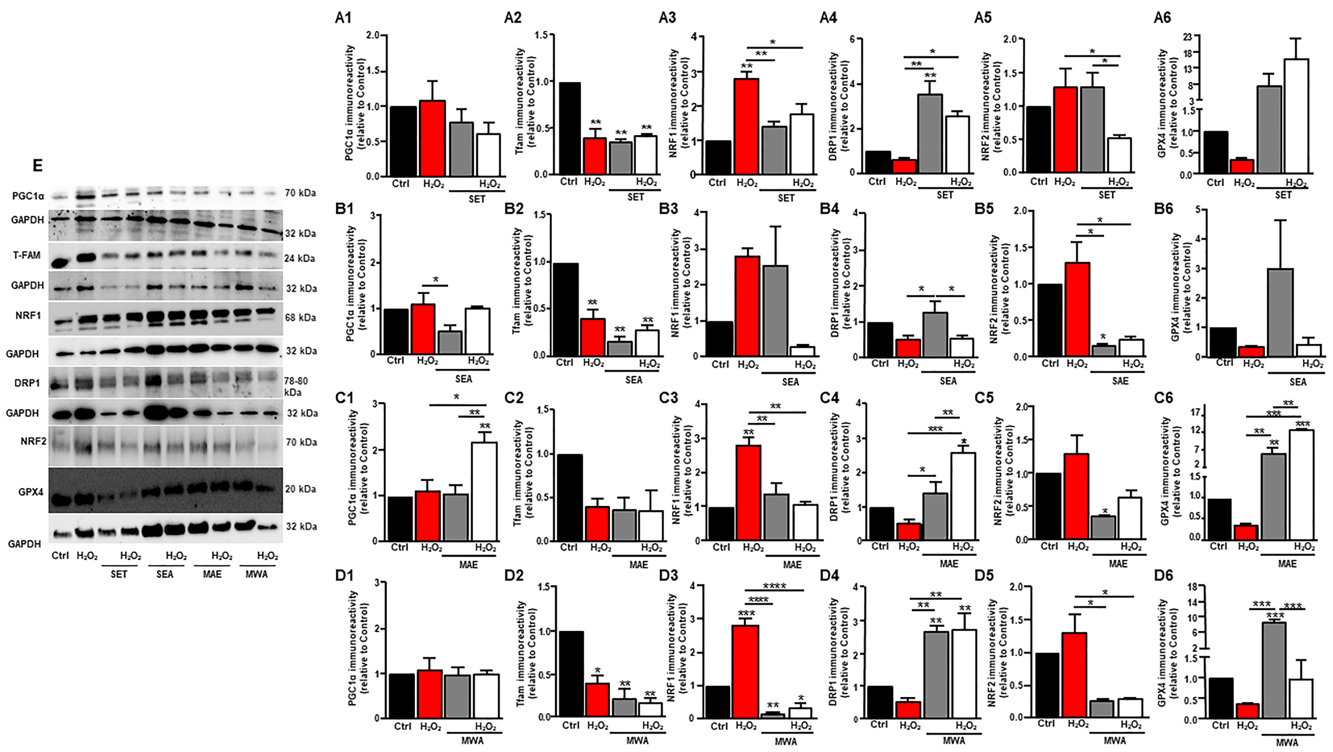 Antioxidants 13 00834 g003