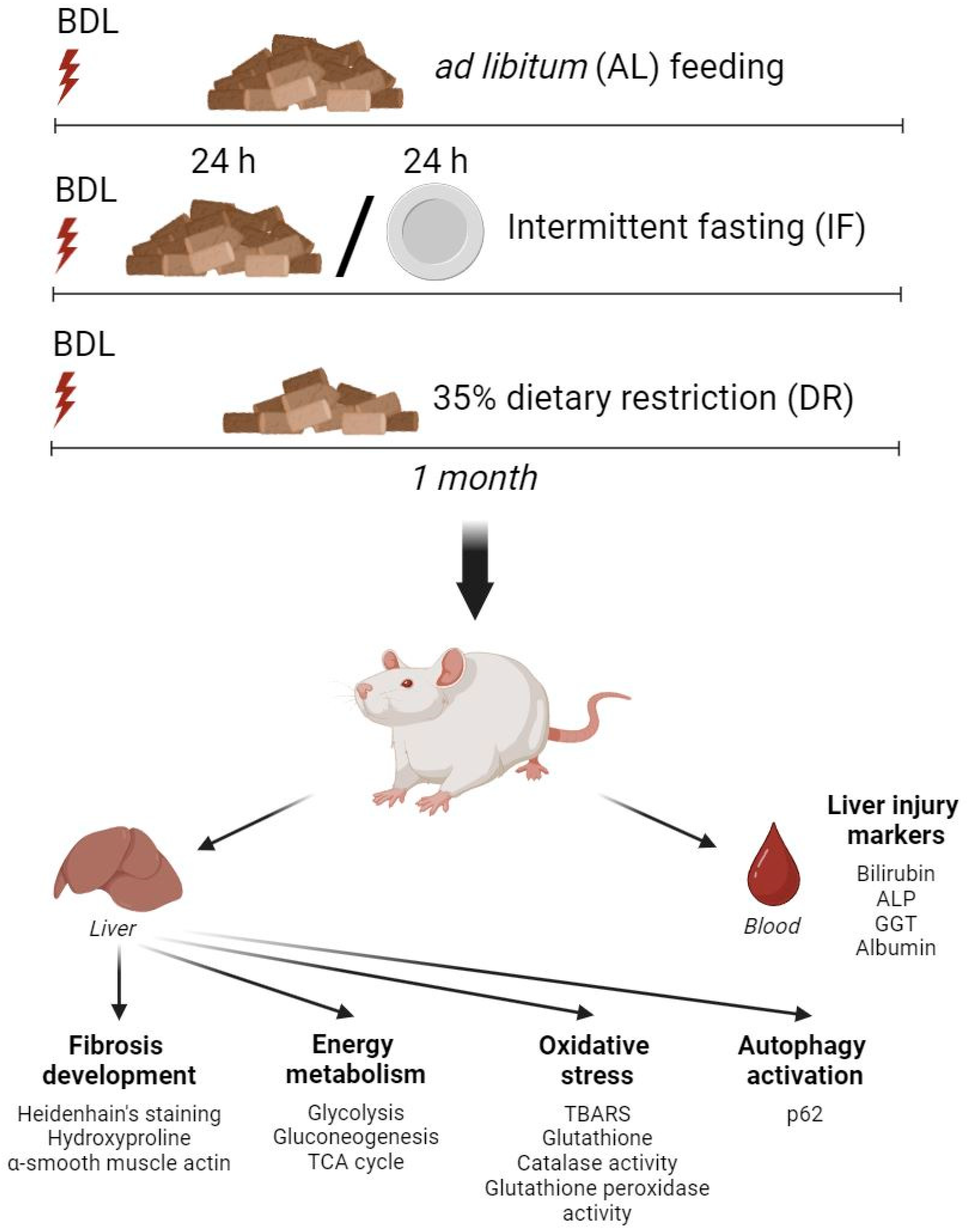 Antioxidants 13 00835 g001