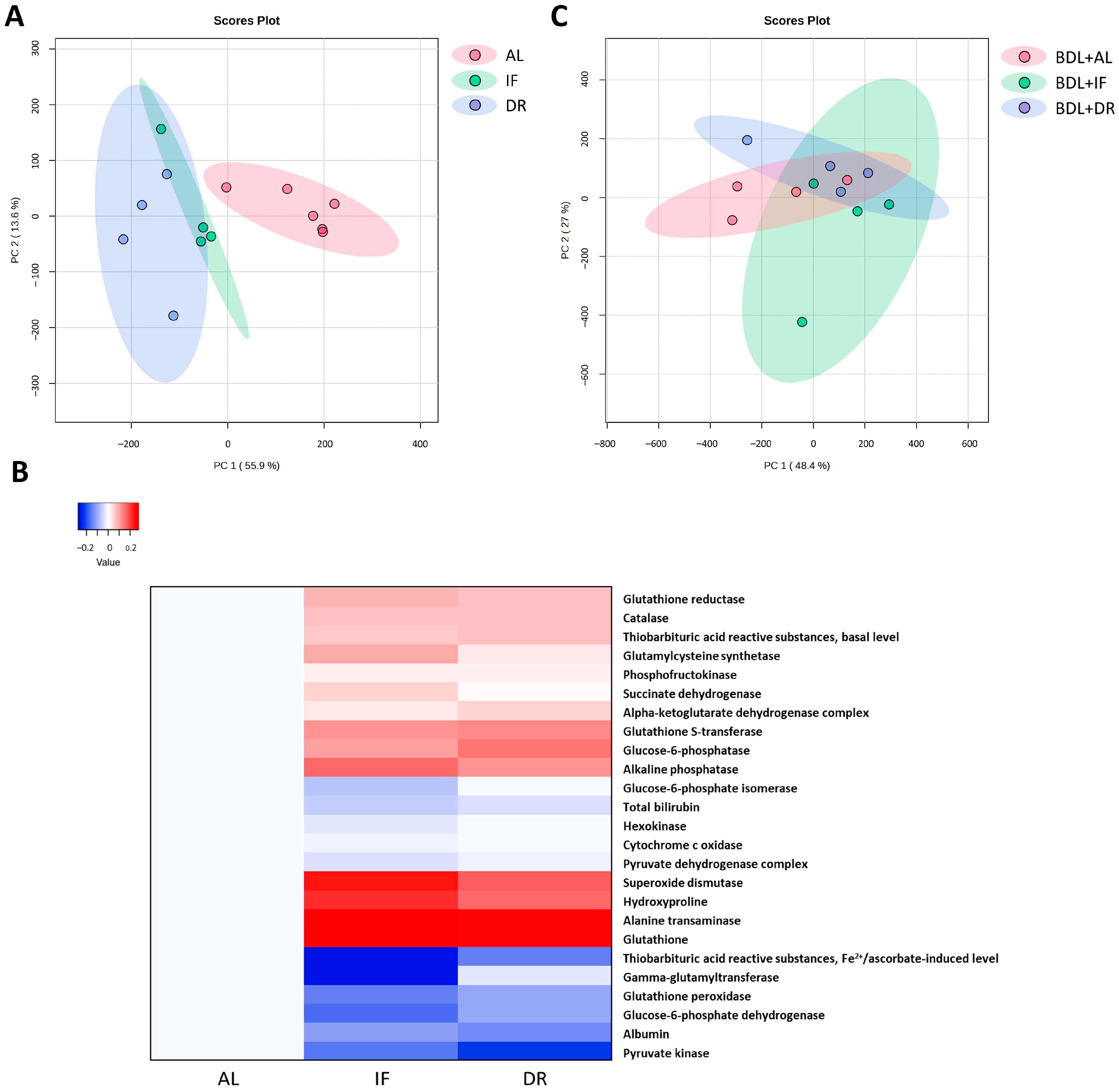 Antioxidants 13 00835 g011