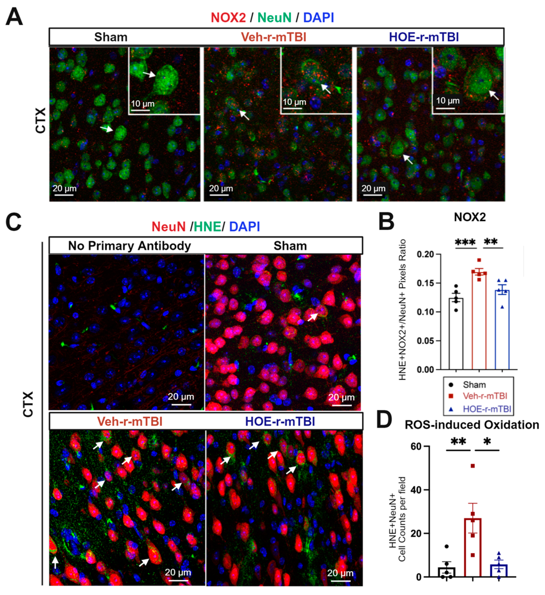 Antioxidants 13 00836 g006