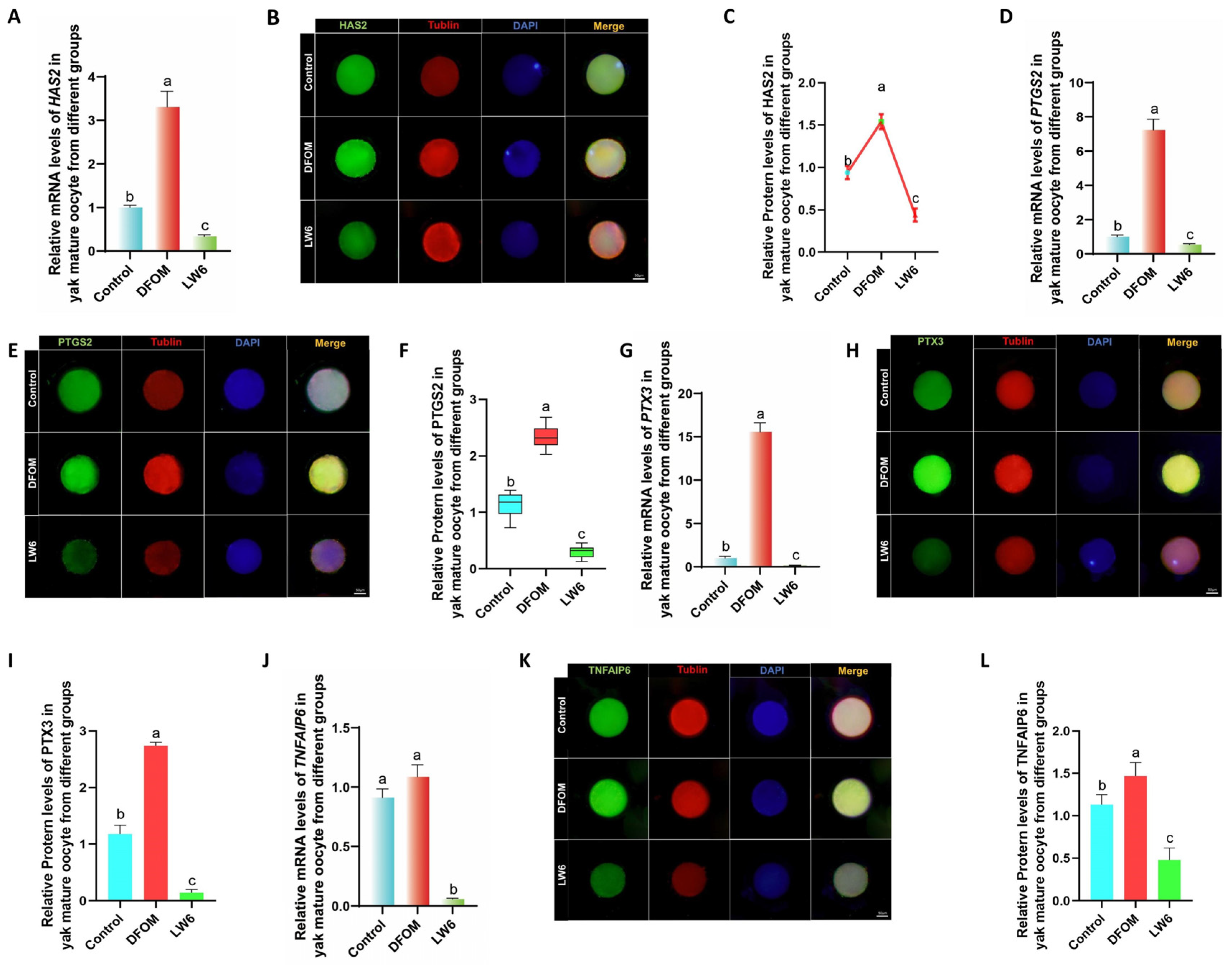 Antioxidants 13 00840 g007