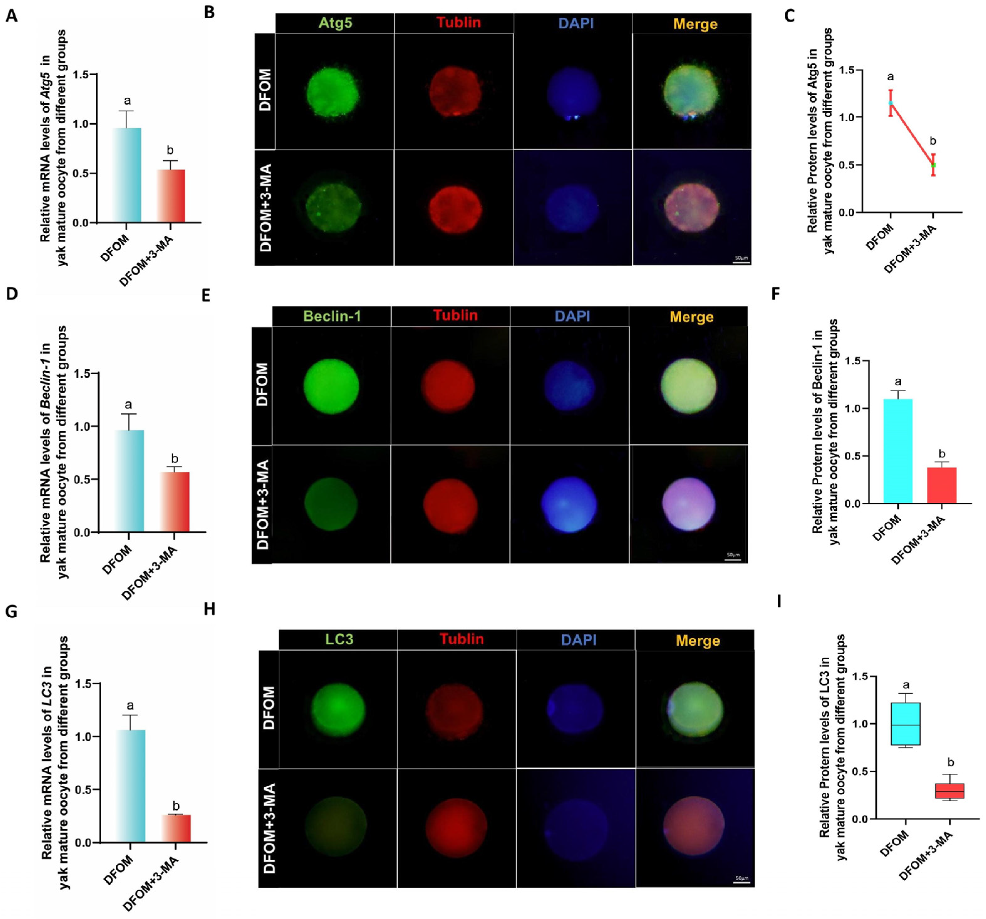 Antioxidants 13 00840 g008
