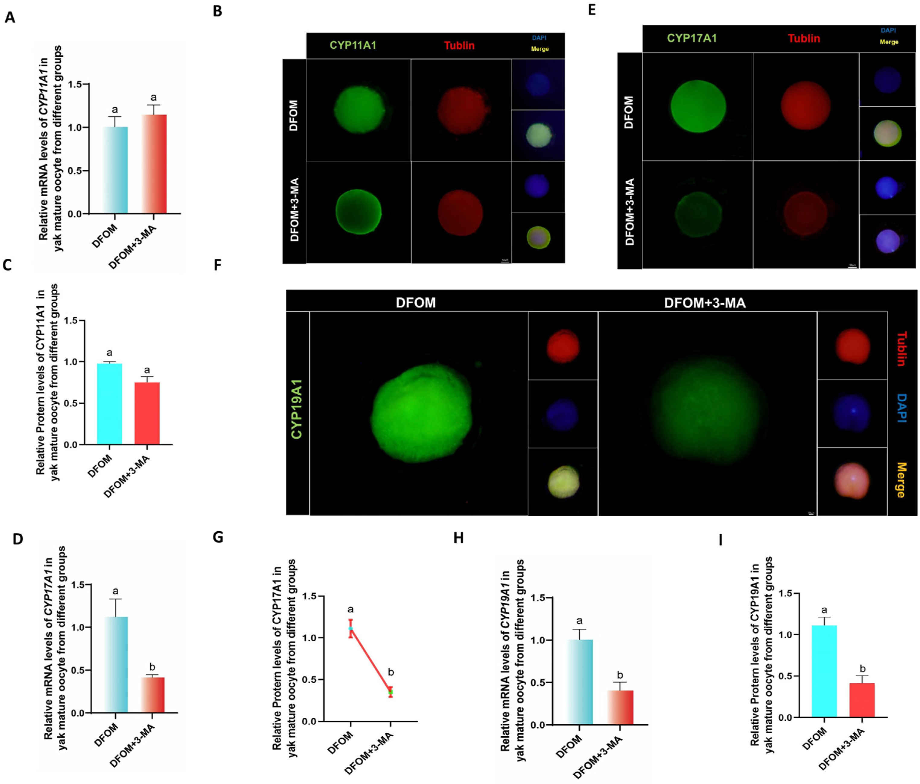Antioxidants 13 00840 g009
