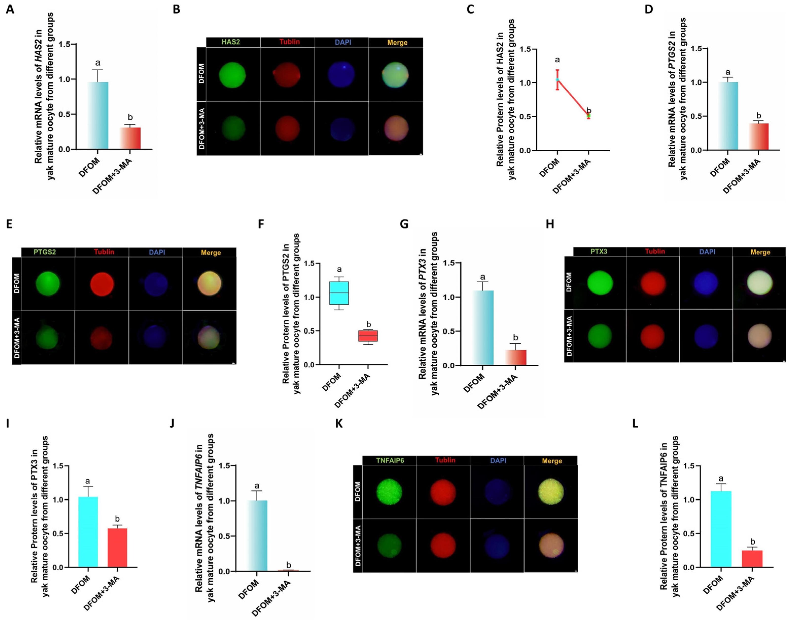 Antioxidants 13 00840 g010