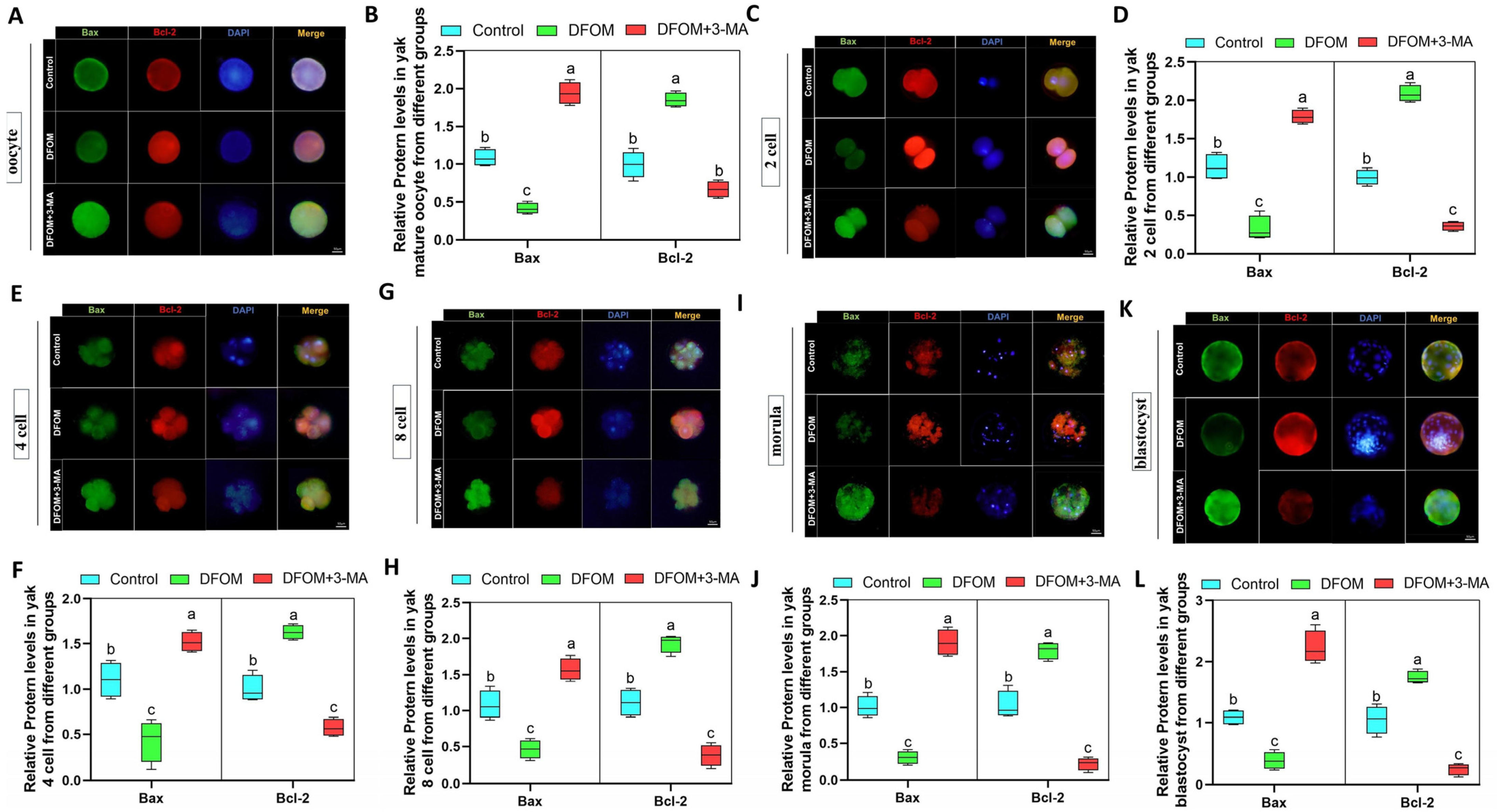 Antioxidants 13 00840 g012