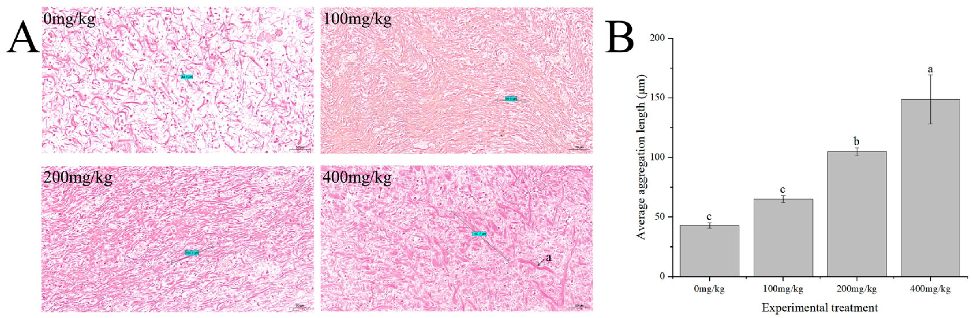 Antioxidants 13 00847 g002
