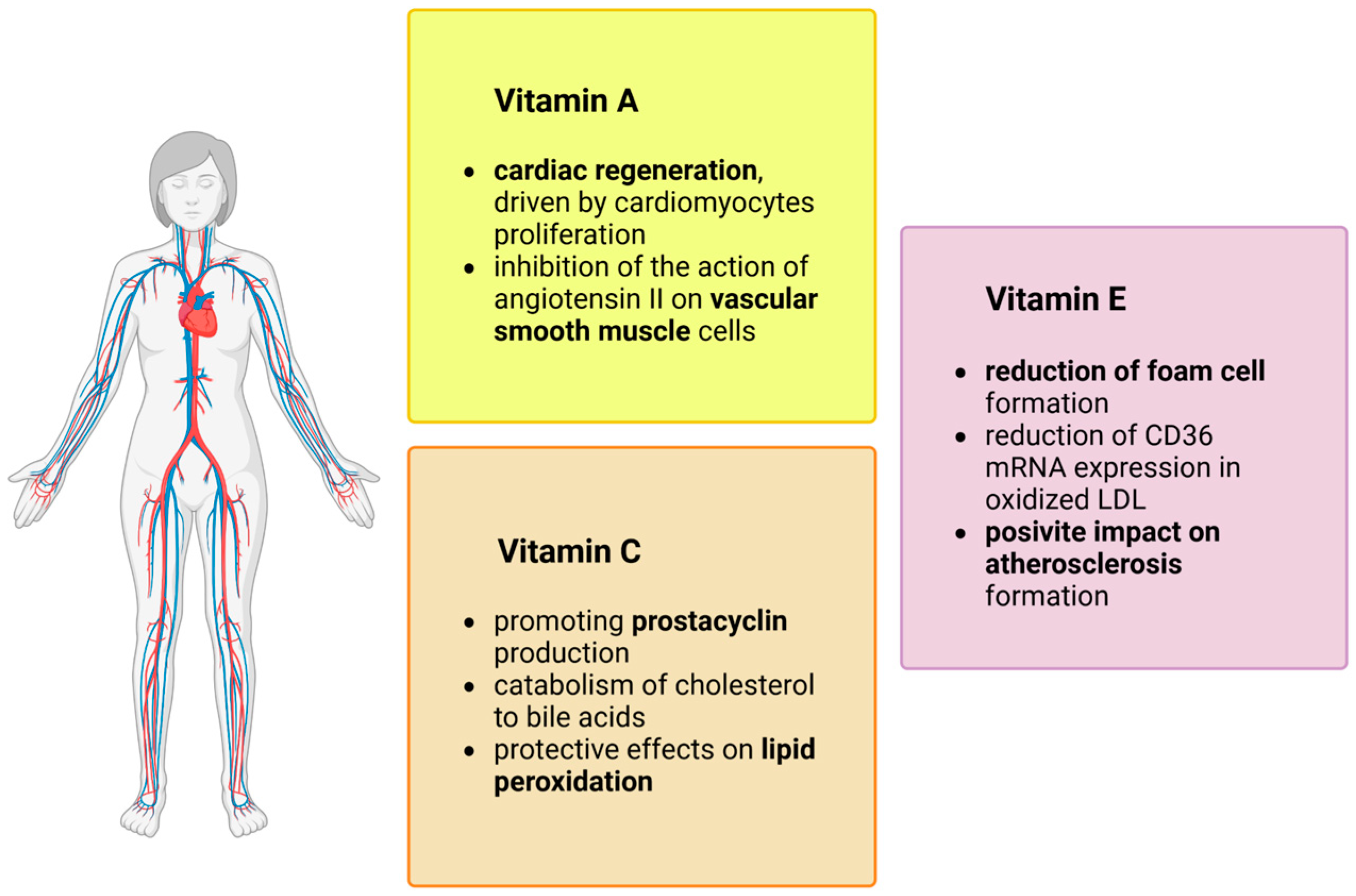 Antioxidants 13 00848 g002