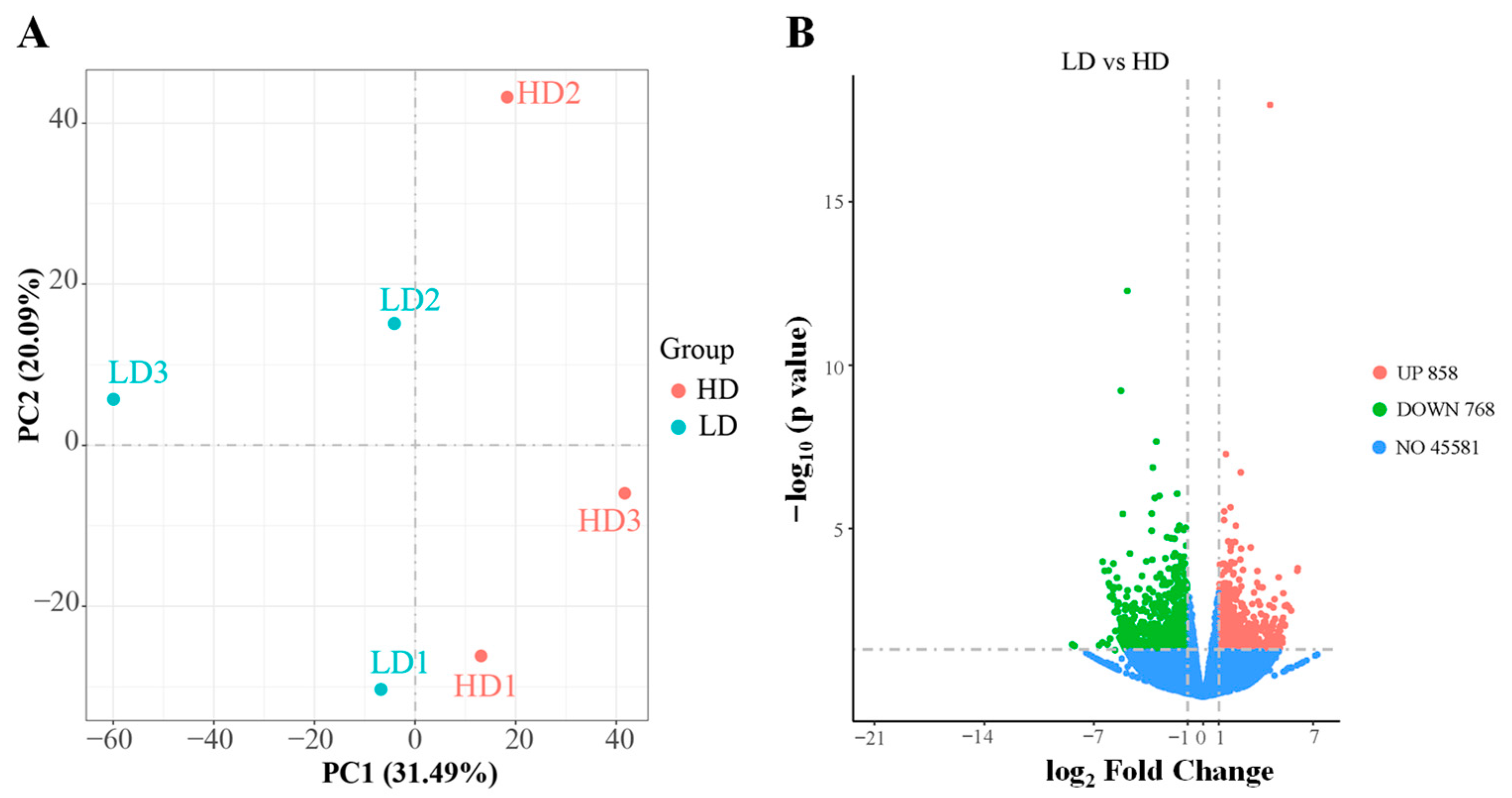 Antioxidants 13 00849 g004