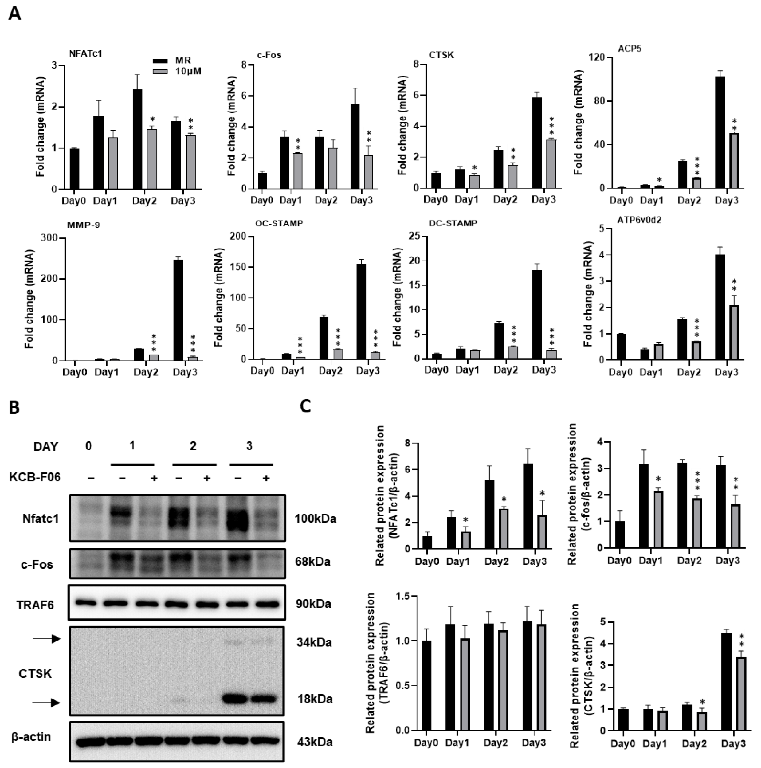 Antioxidants 13 00850 g004