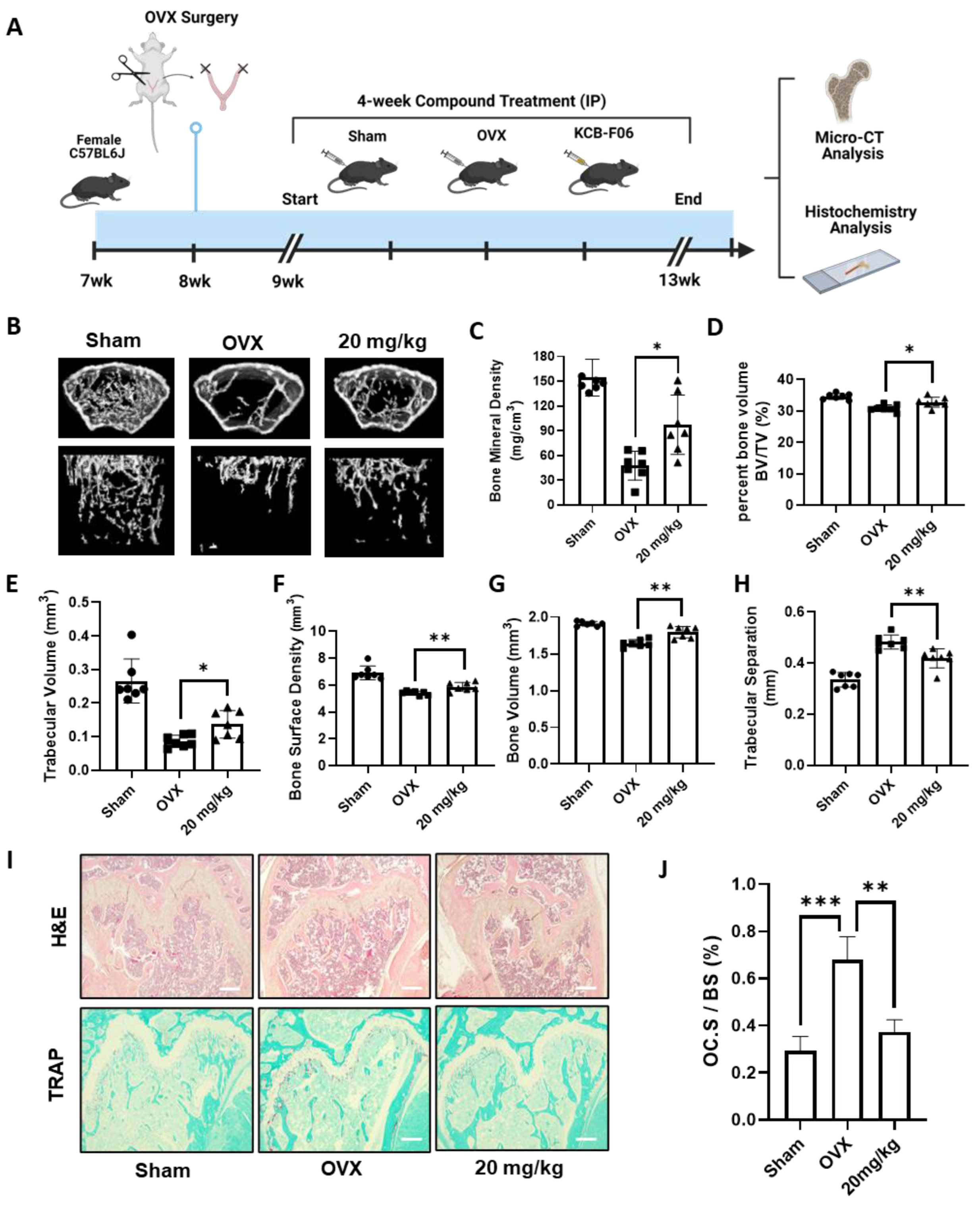 Antioxidants 13 00850 g005