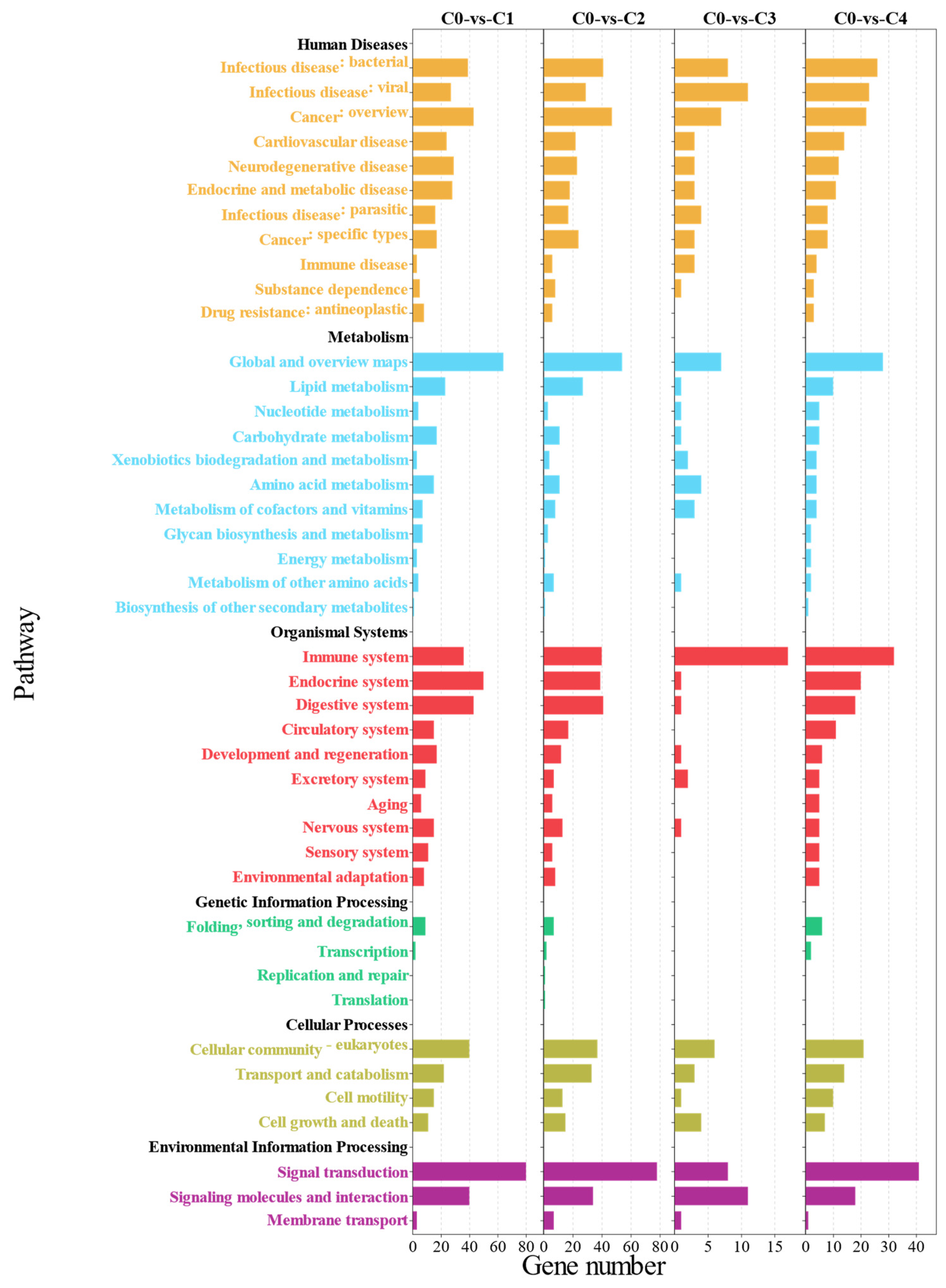 Antioxidants 13 00851 g007