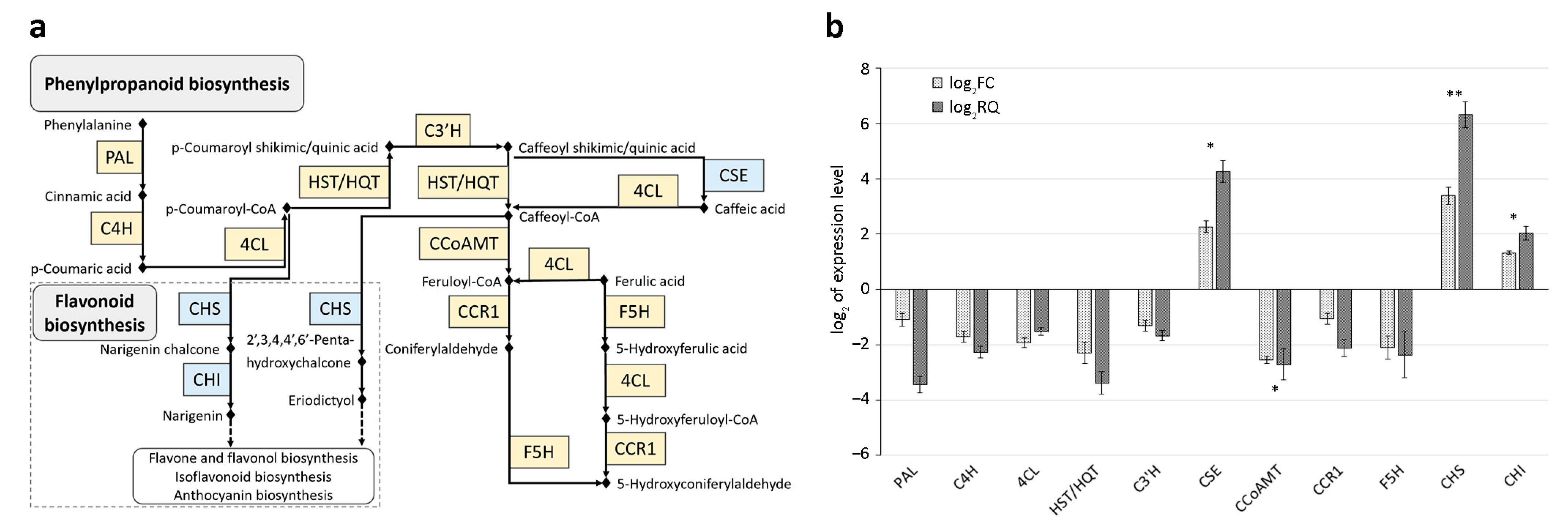 Antioxidants 13 00852 g003
