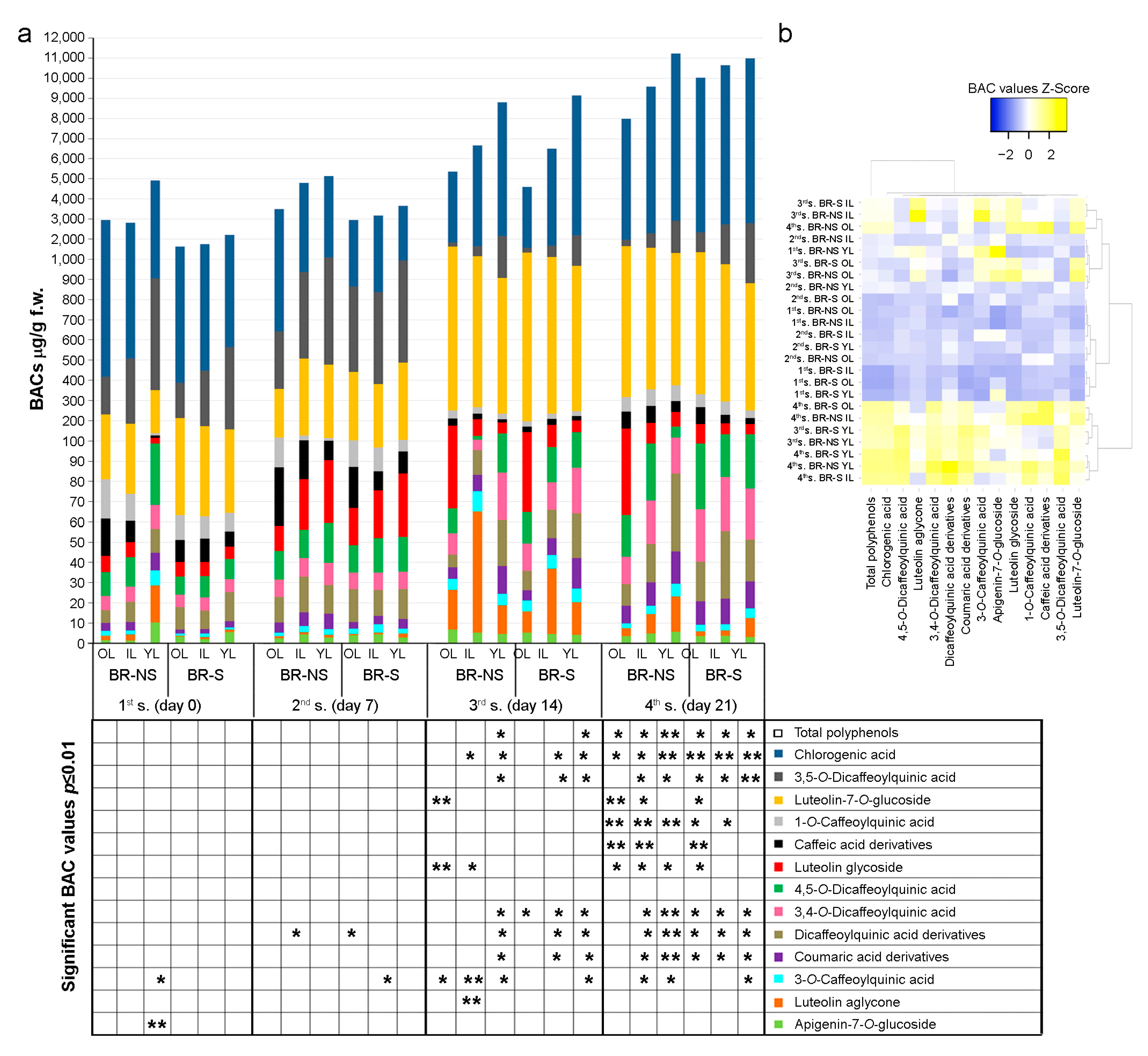 Antioxidants 13 00852 g004