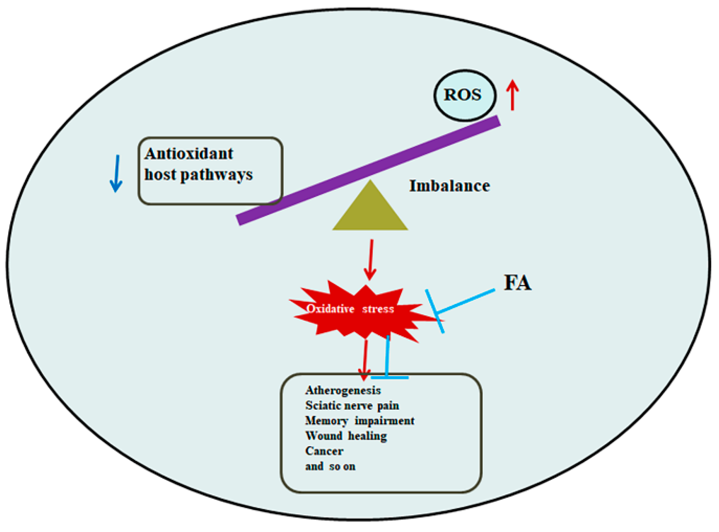 Antioxidants 13 00853 g006