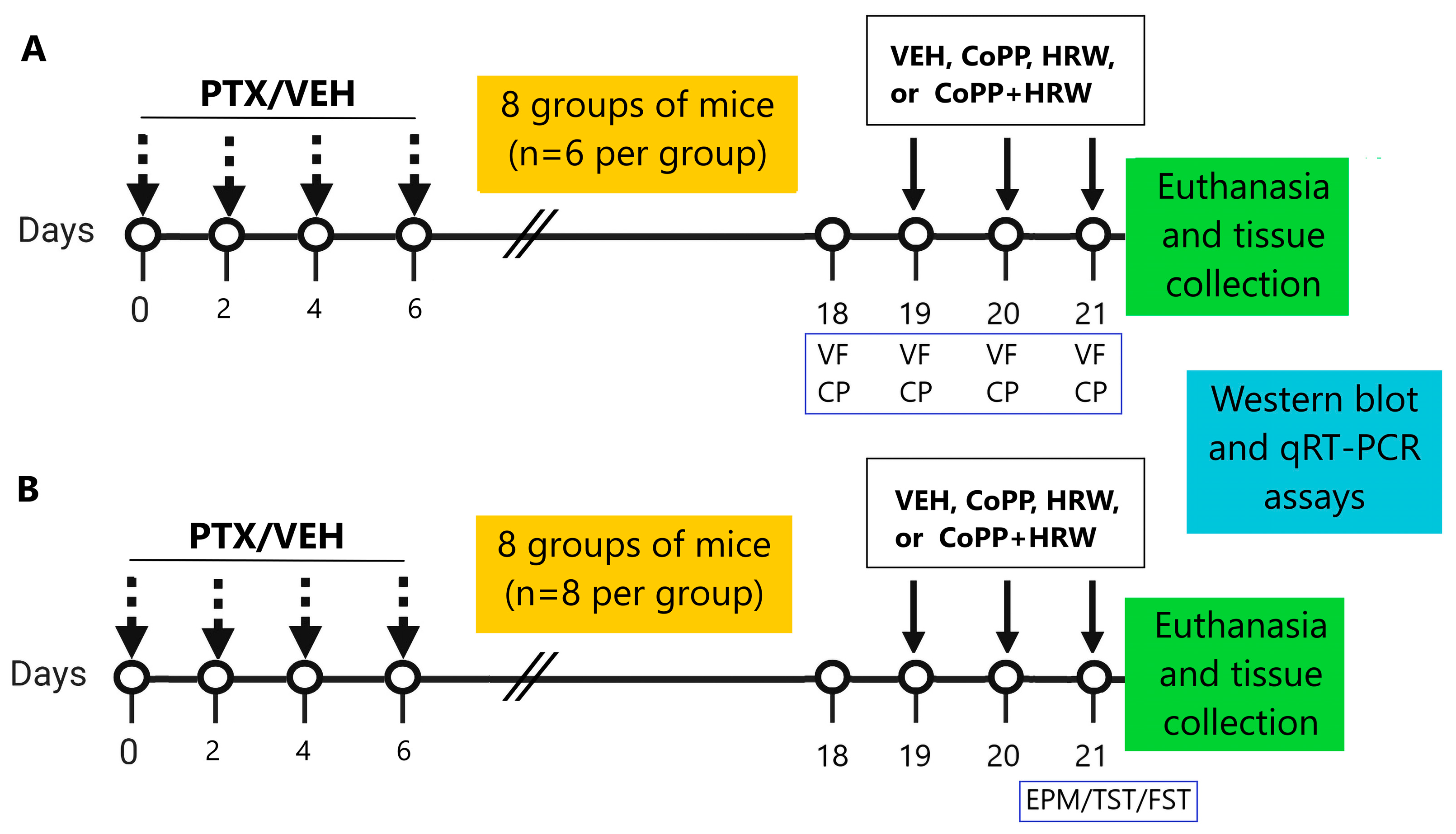 Antioxidants 13 00856 g001