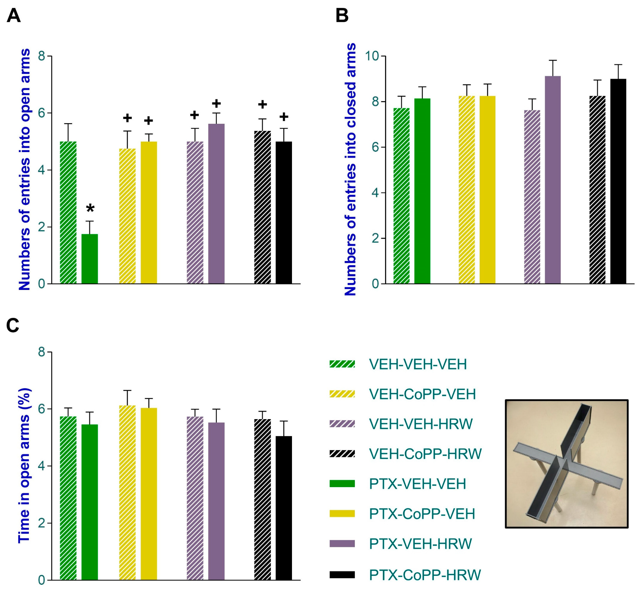 Antioxidants 13 00856 g004