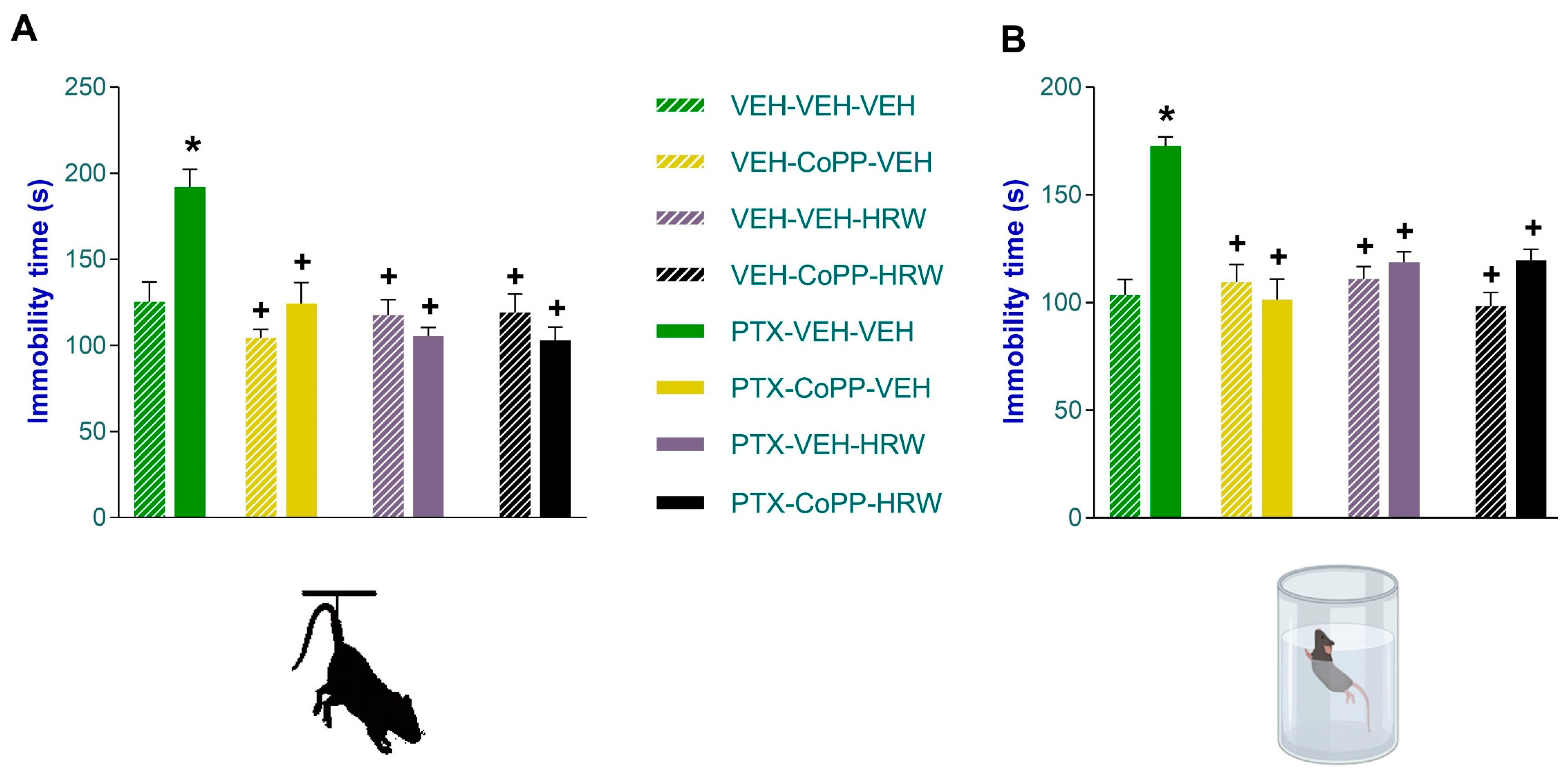 Antioxidants 13 00856 g005