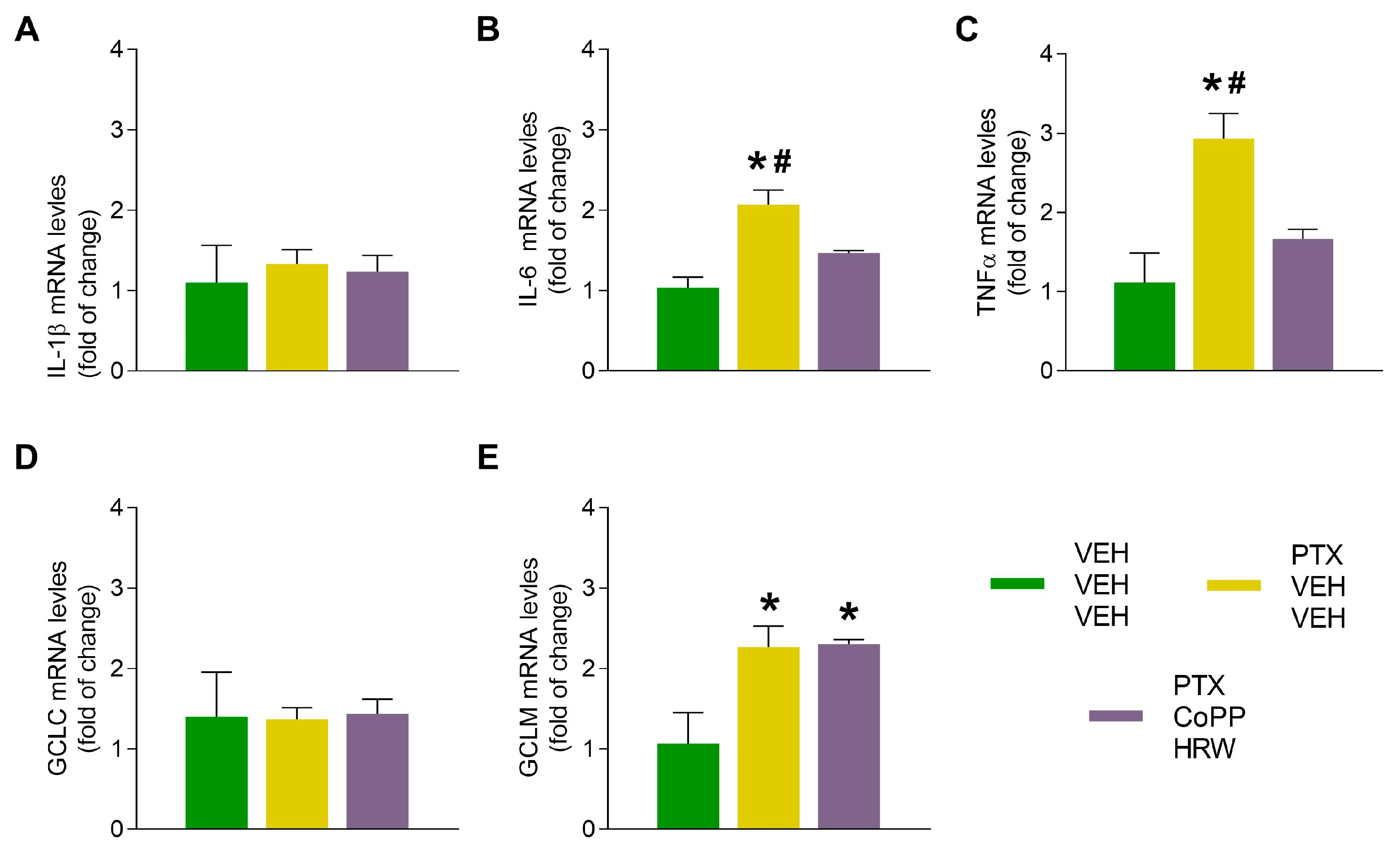 Antioxidants 13 00856 g009