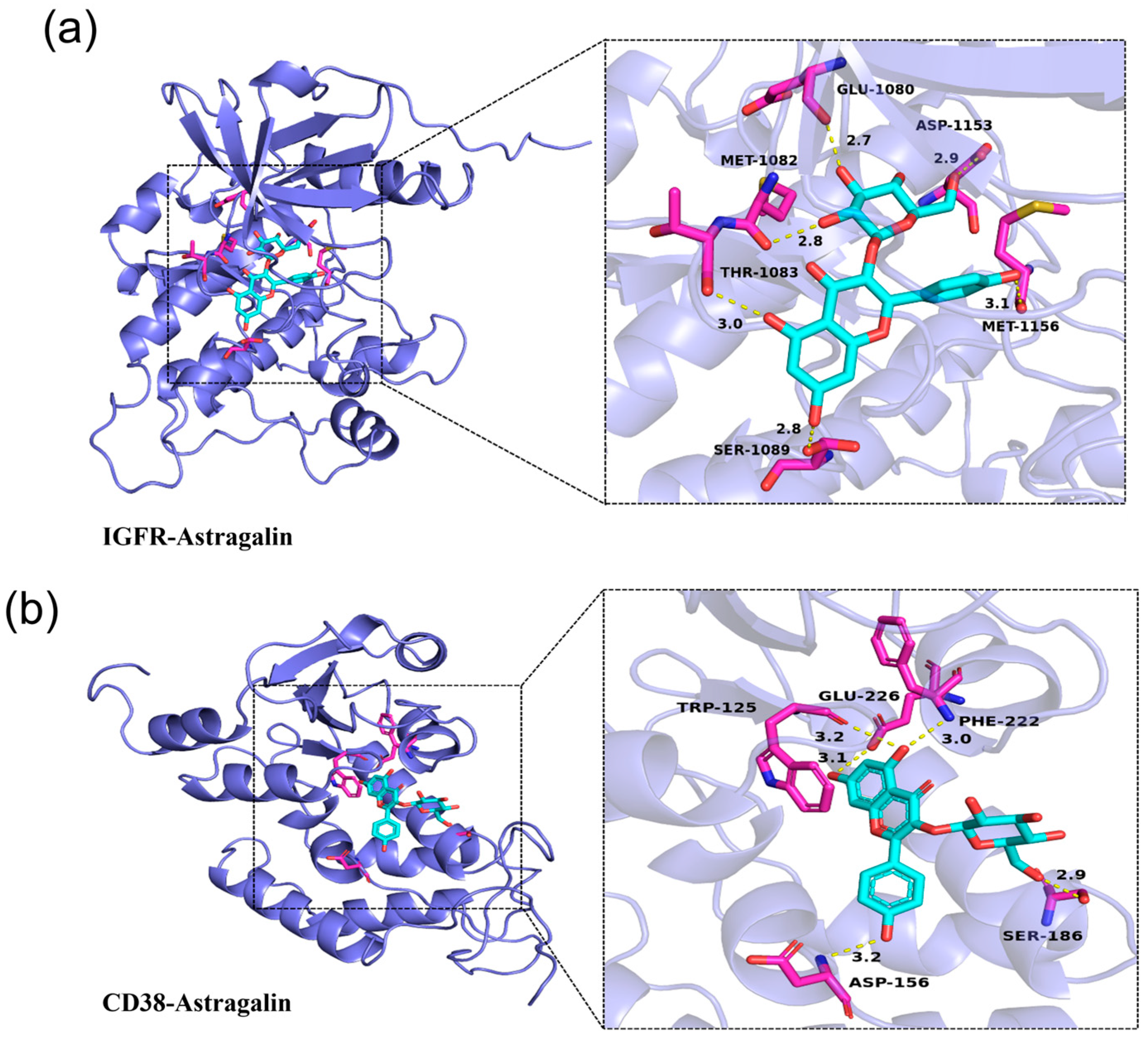 Antioxidants 13 00859 g002