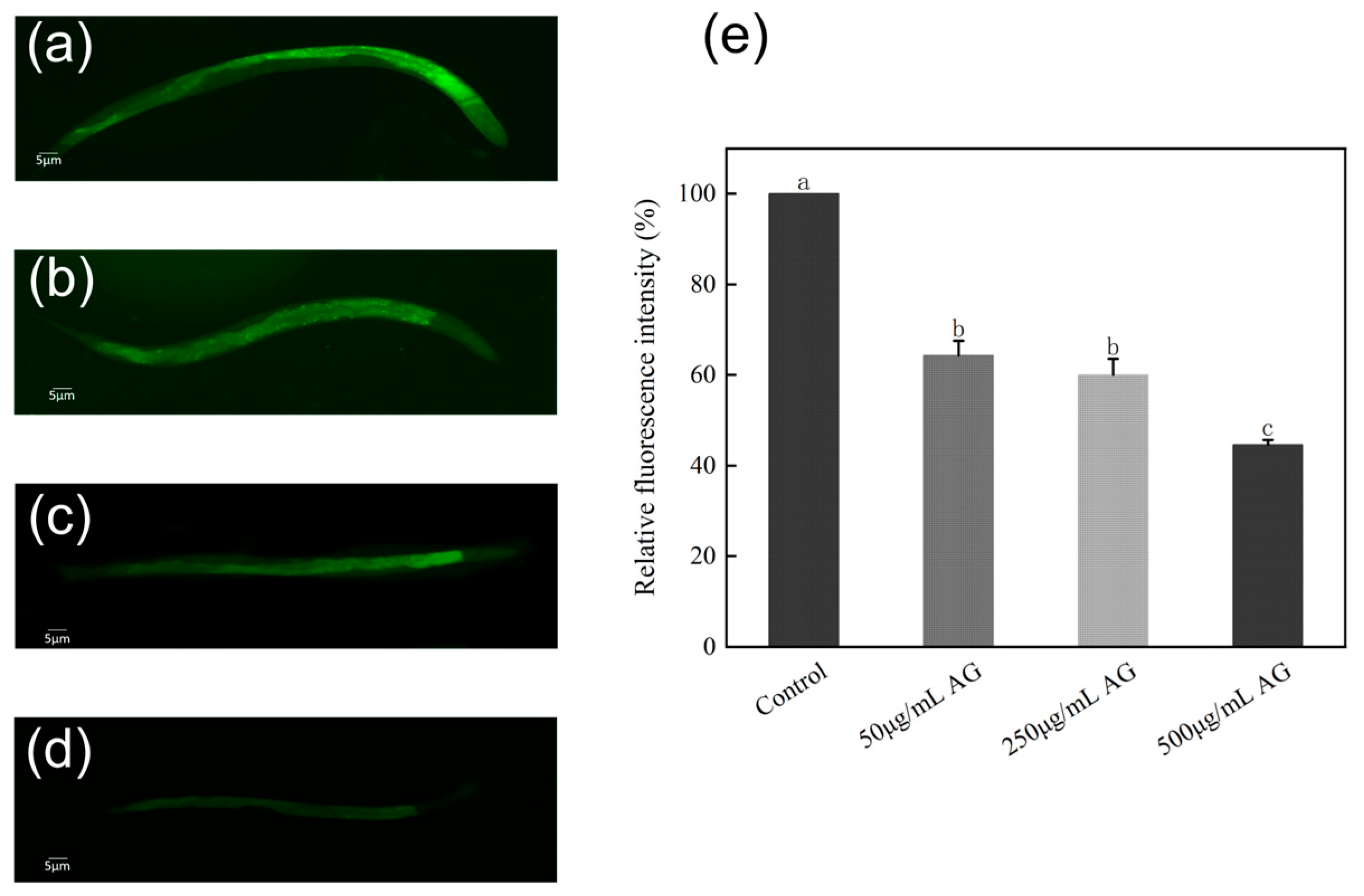 Antioxidants 13 00859 g006