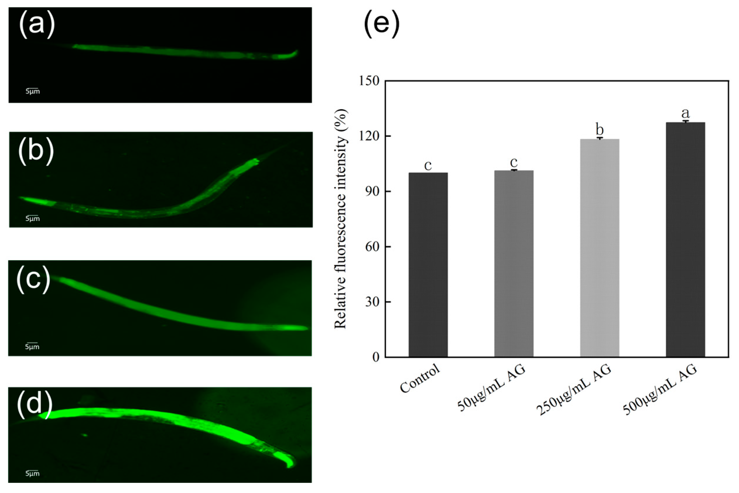 Antioxidants 13 00859 g007
