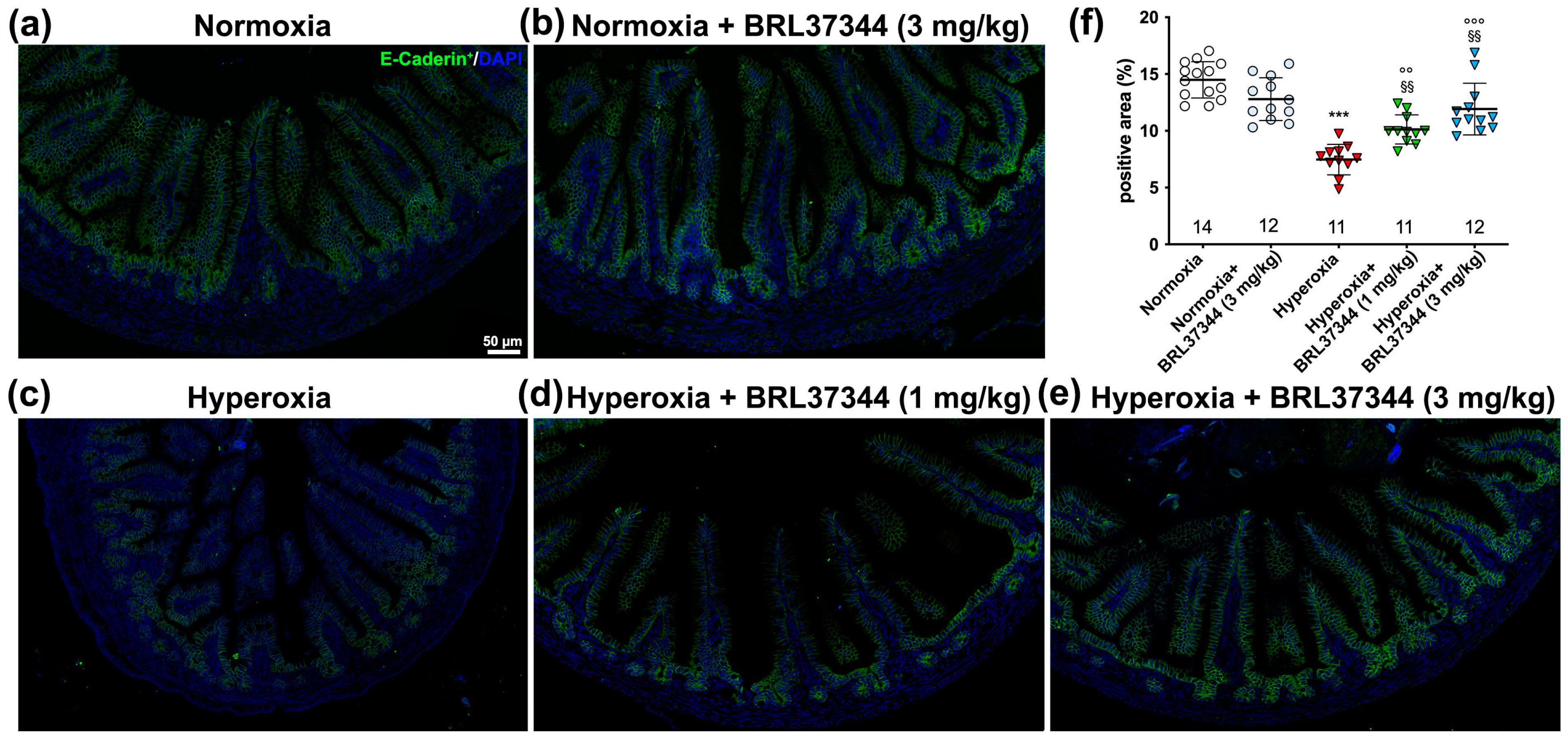Antioxidants 13 00863 g006