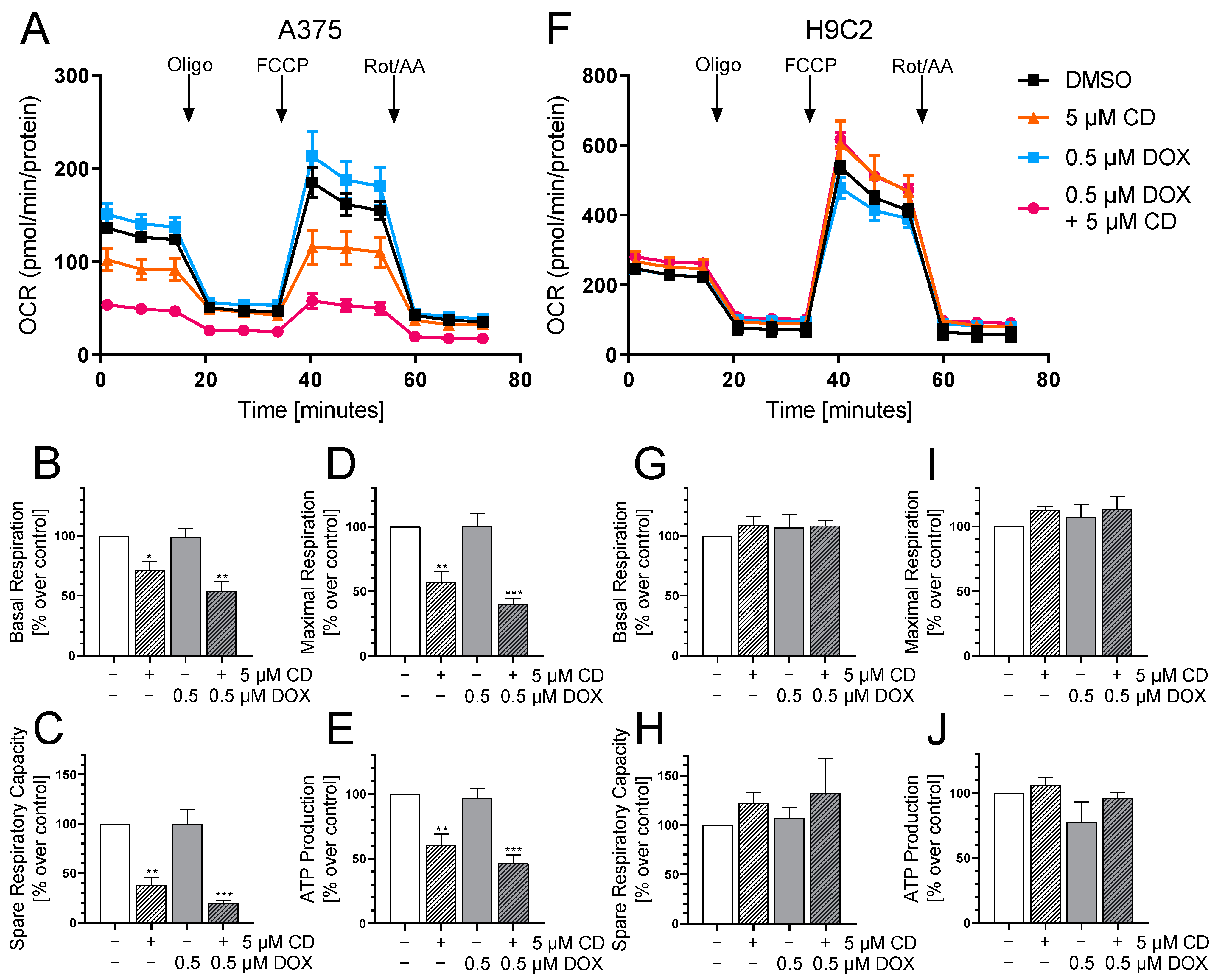 Antioxidants 13 00864 g009