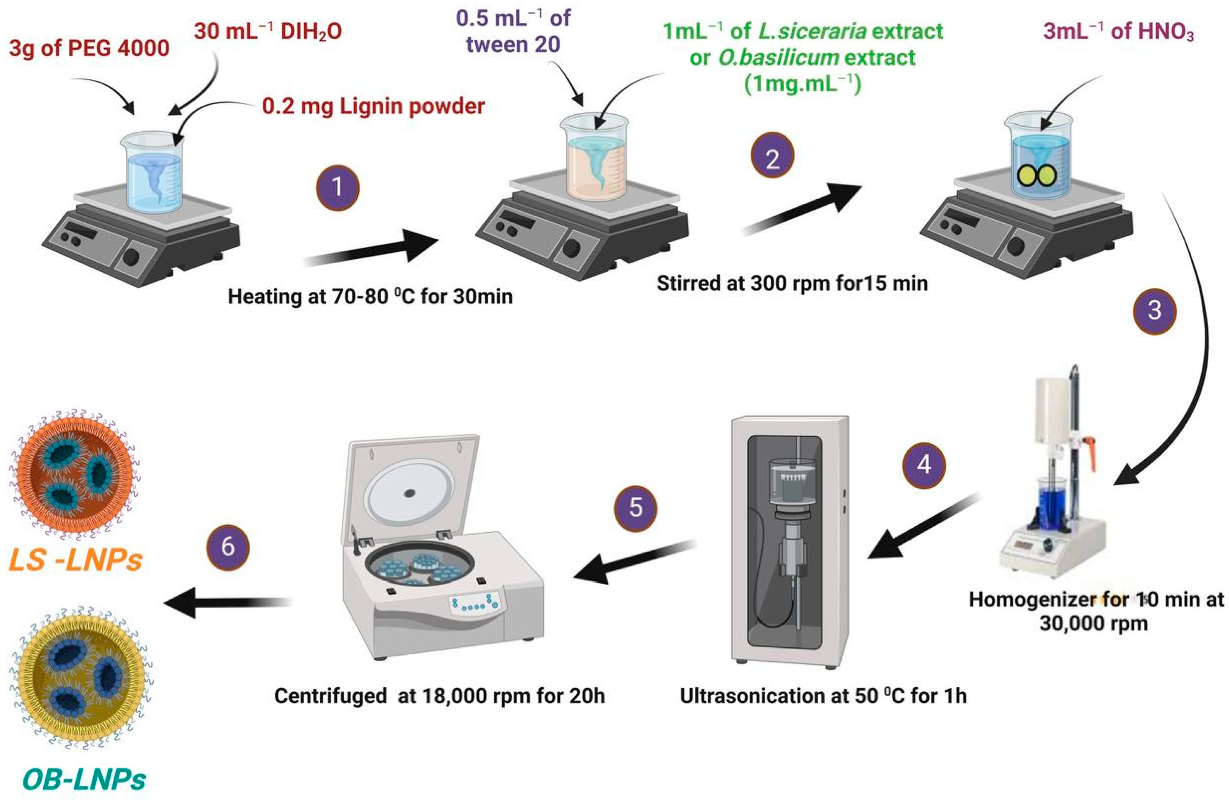 Antioxidants 13 00865 g001